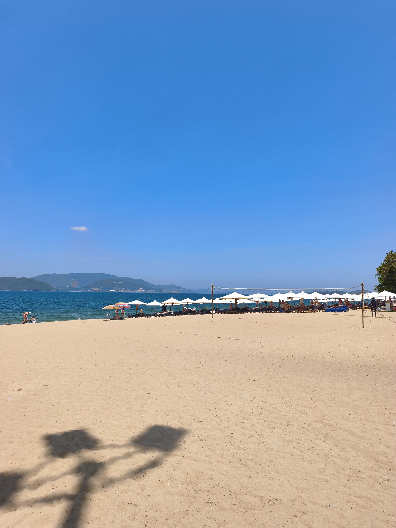 Busy morning on Nha Trang's resort beach with dragon kite flying