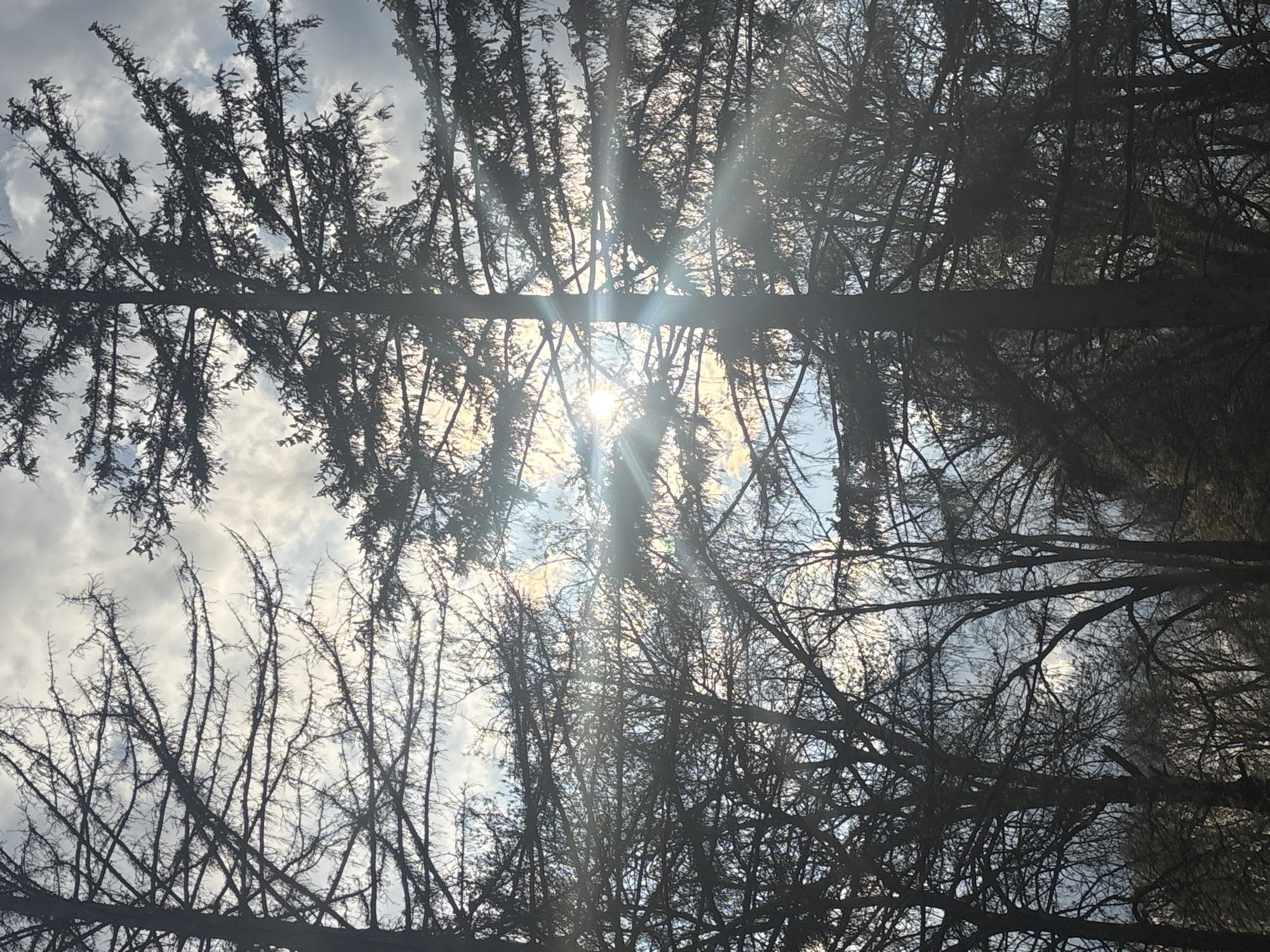 Young man photographs rural Bulgarian village during afternoon walk