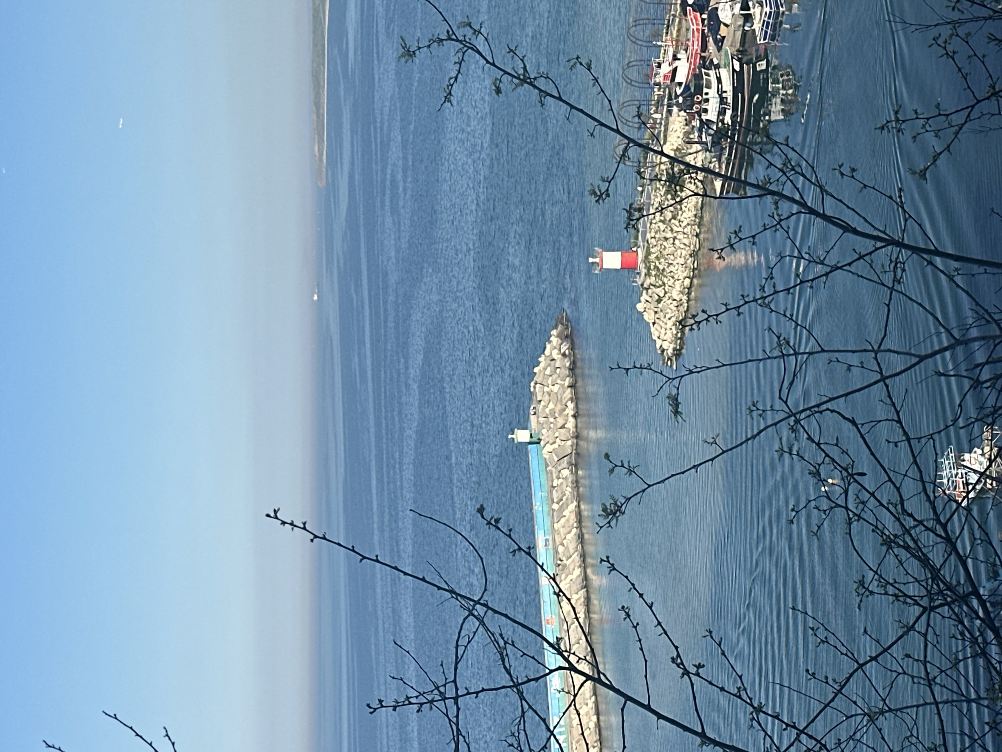 Tourist captures harbor views during Arnavutköy waterfront visit