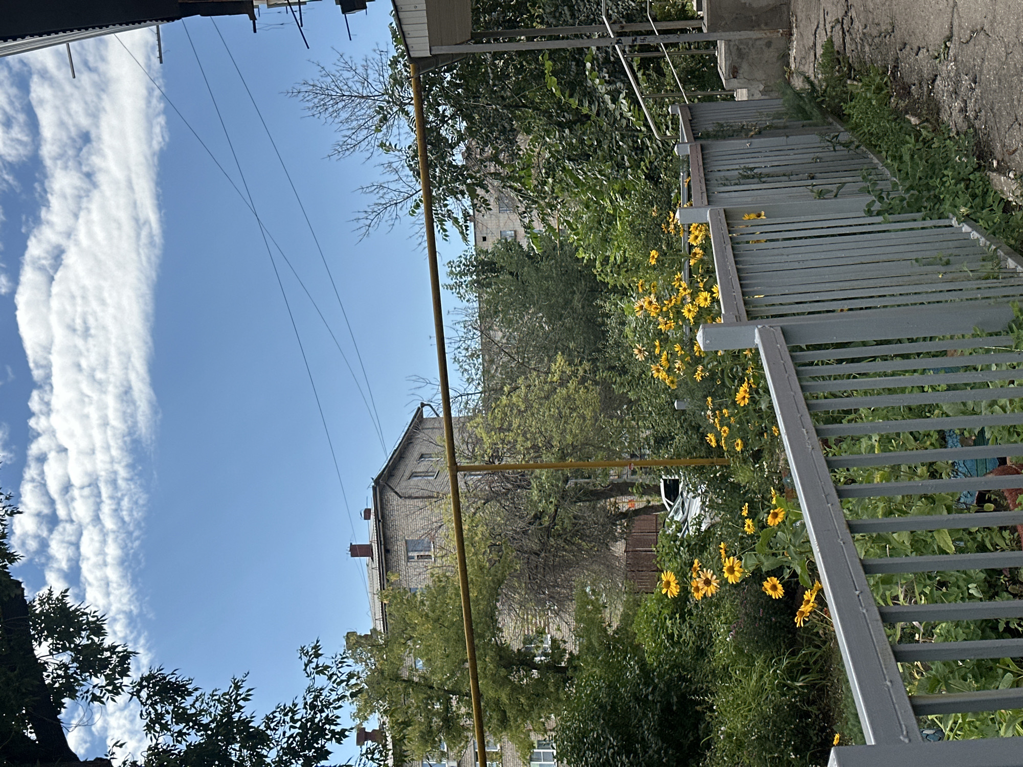Mid-morning street and neighborhood scenes from a busy urban area