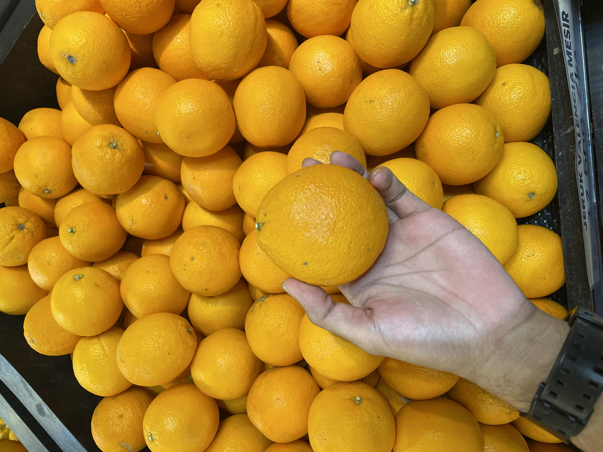 Shopper documents tropical fruit variety at Central Jakarta market