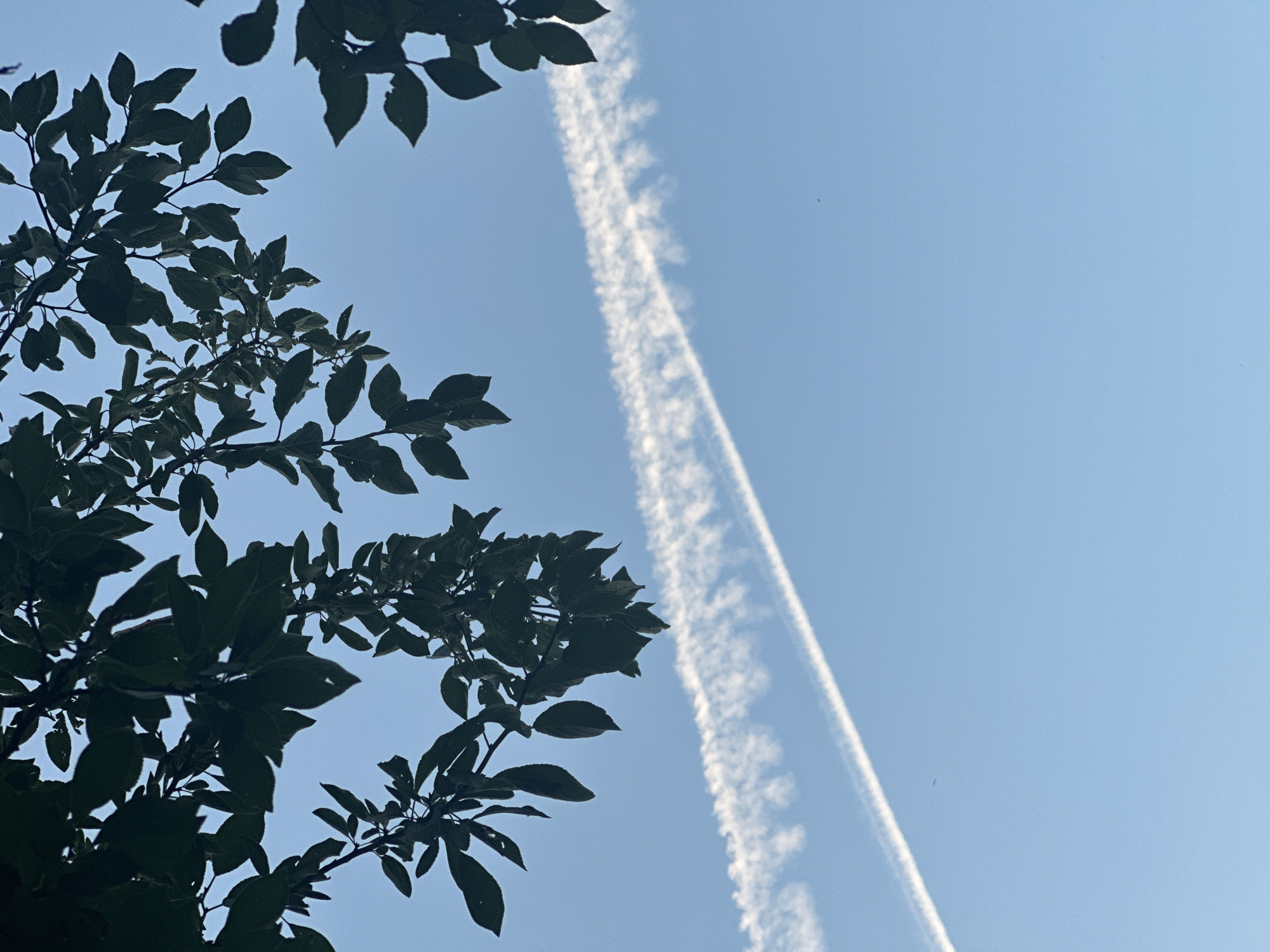 Contrail over Rasskazovo, then a big bonfire after dark