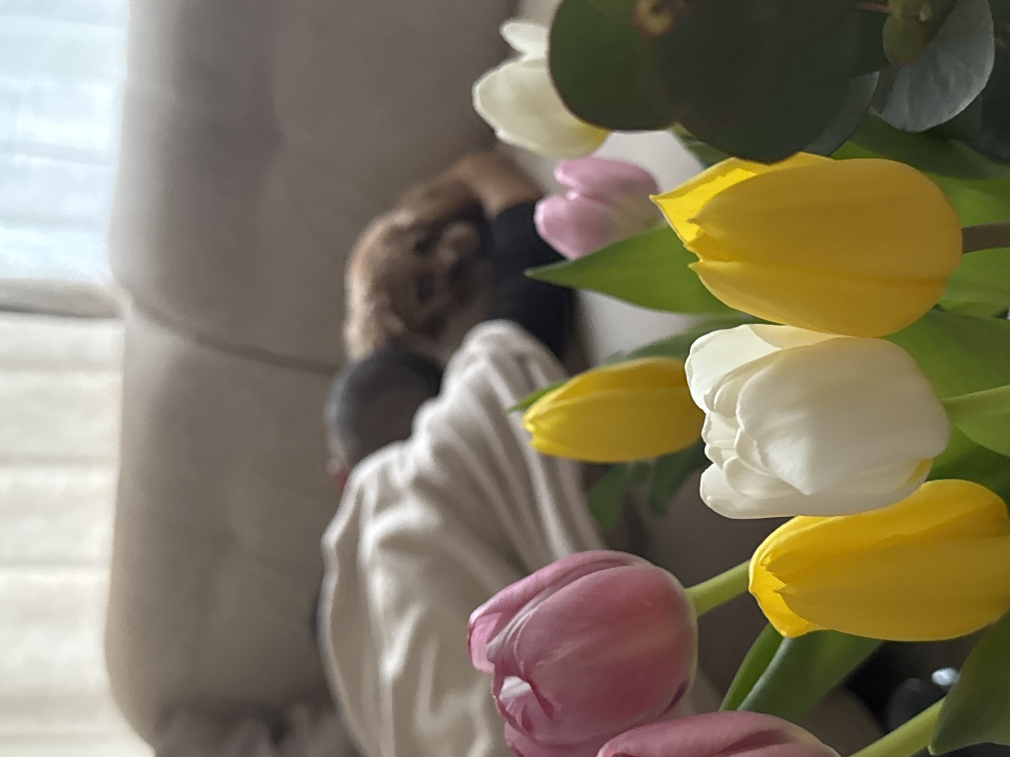 Afternoon dining and home moments captured in Burgas, Bulgaria