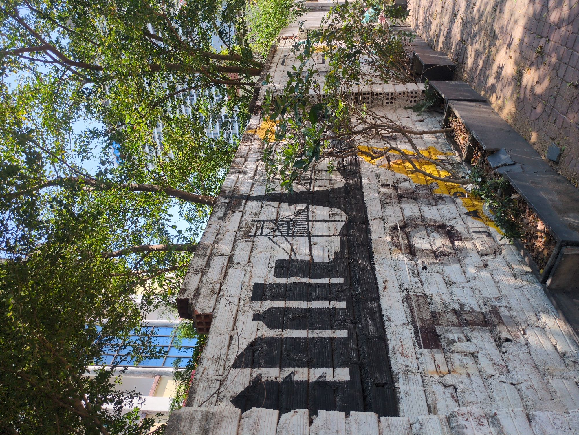 Morning street art and urban scenes documented in Quy Nhon