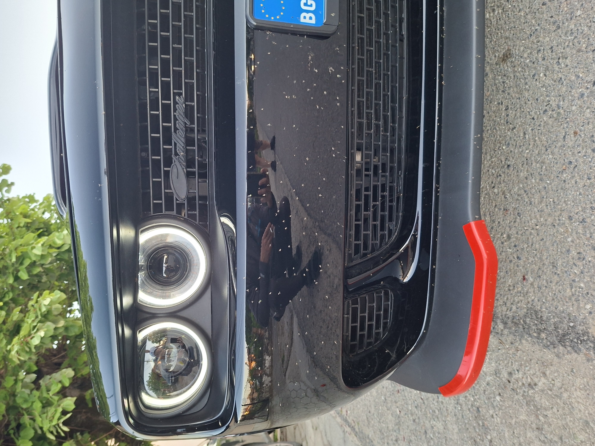 Black Dodge Challenger spotted parked on street