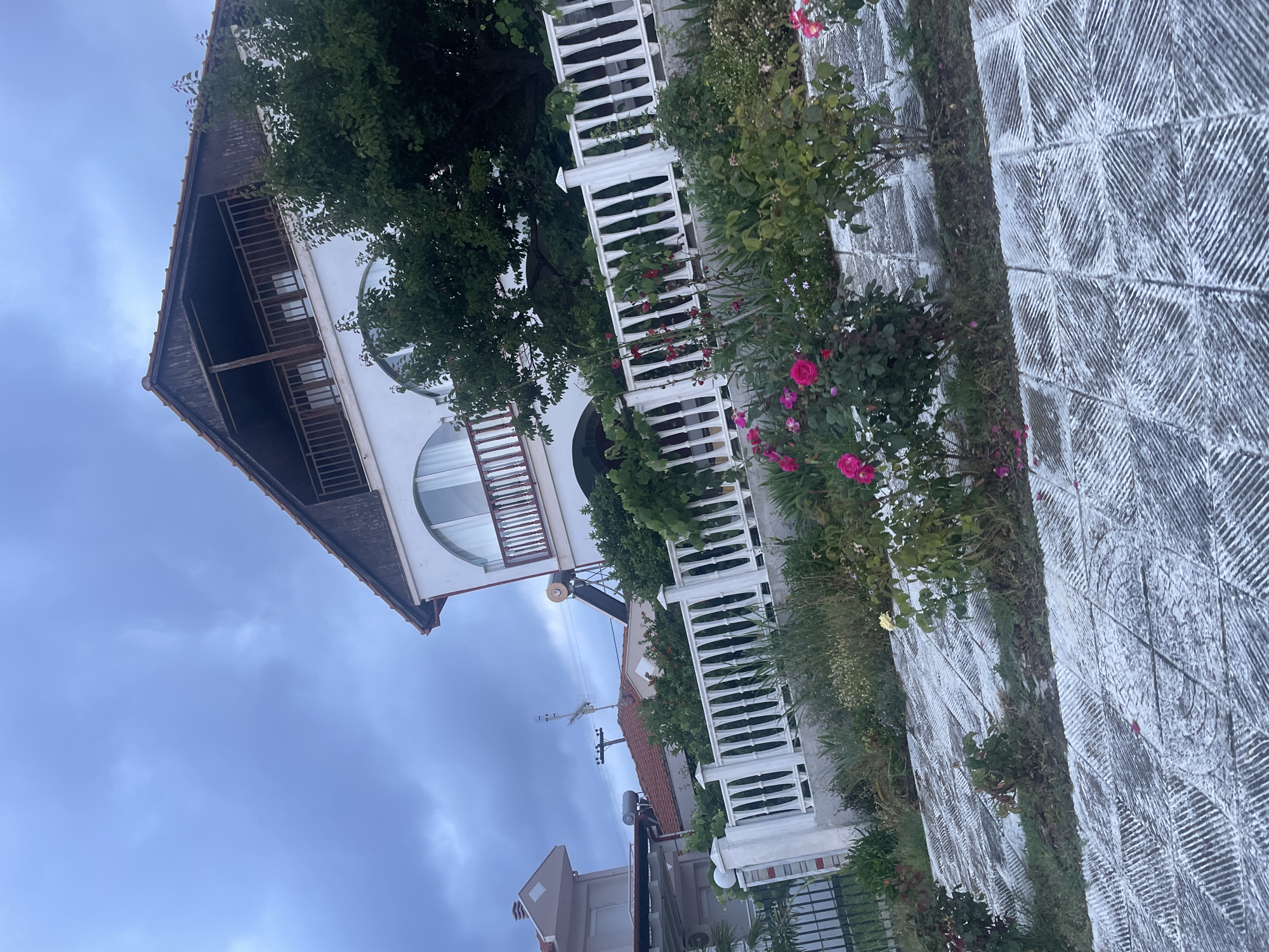 Quiet afternoon moments documented across Nea Vrasna, Greece