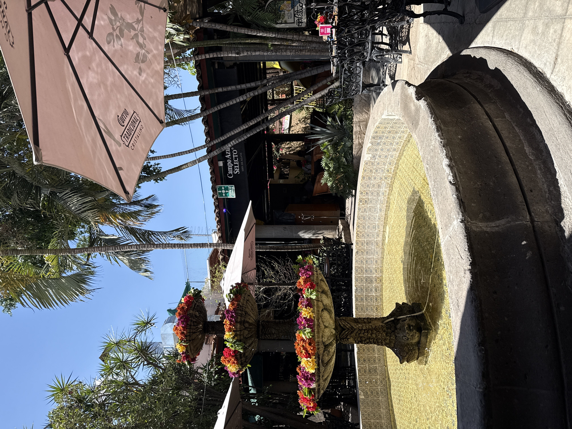 Tourist selfies and dining scenes captured in Tlaquepaque Mexico