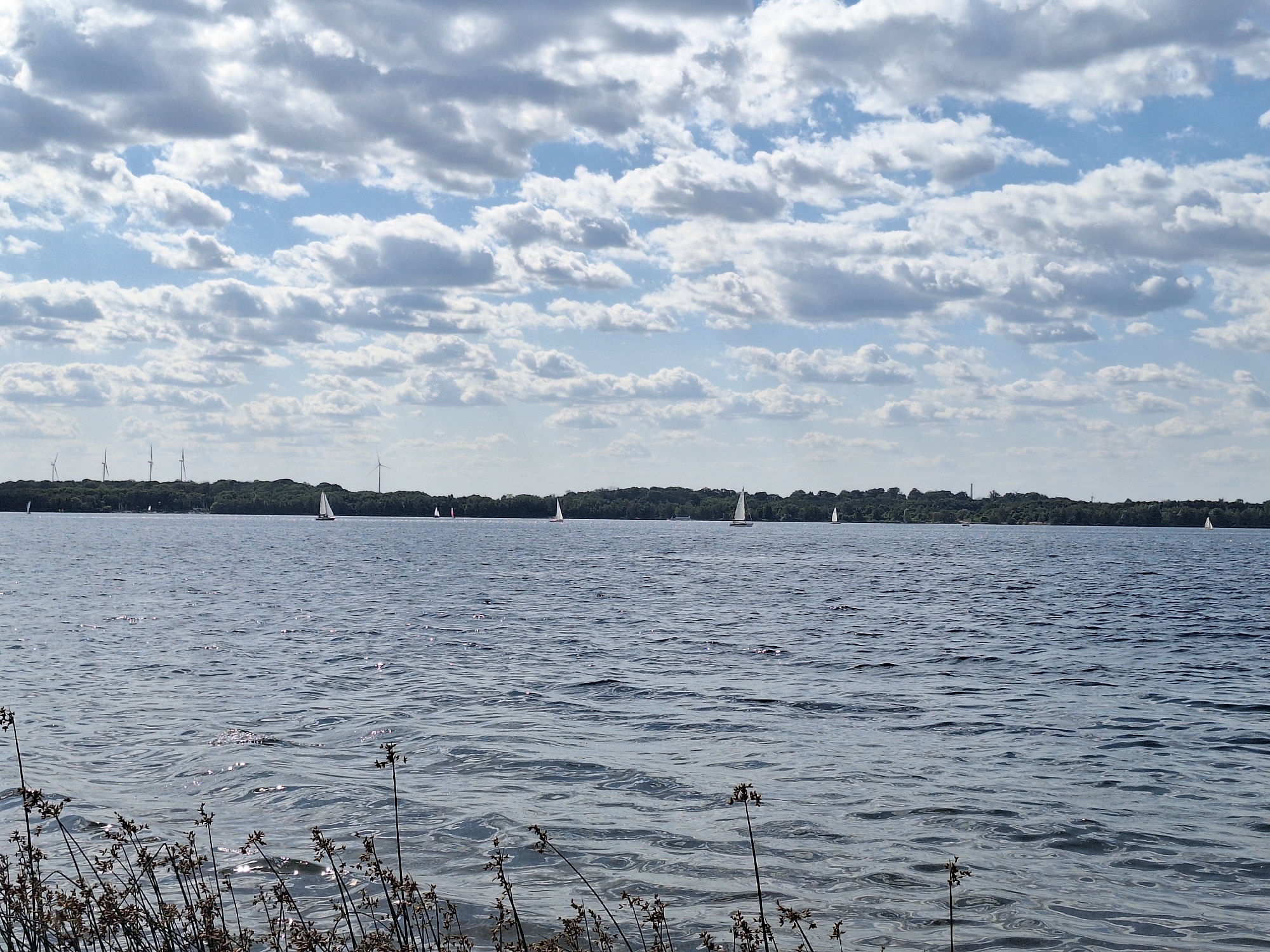 Sunny afternoon on Markkleeberger See — sails, paddleboards, clear water