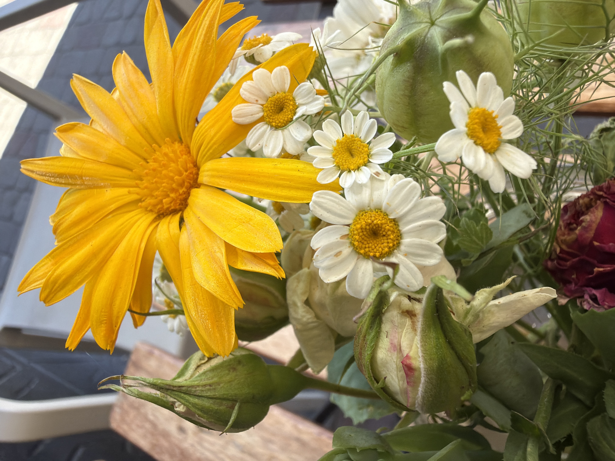 Flower bouquets and quiet outdoor scenes near brick buildings