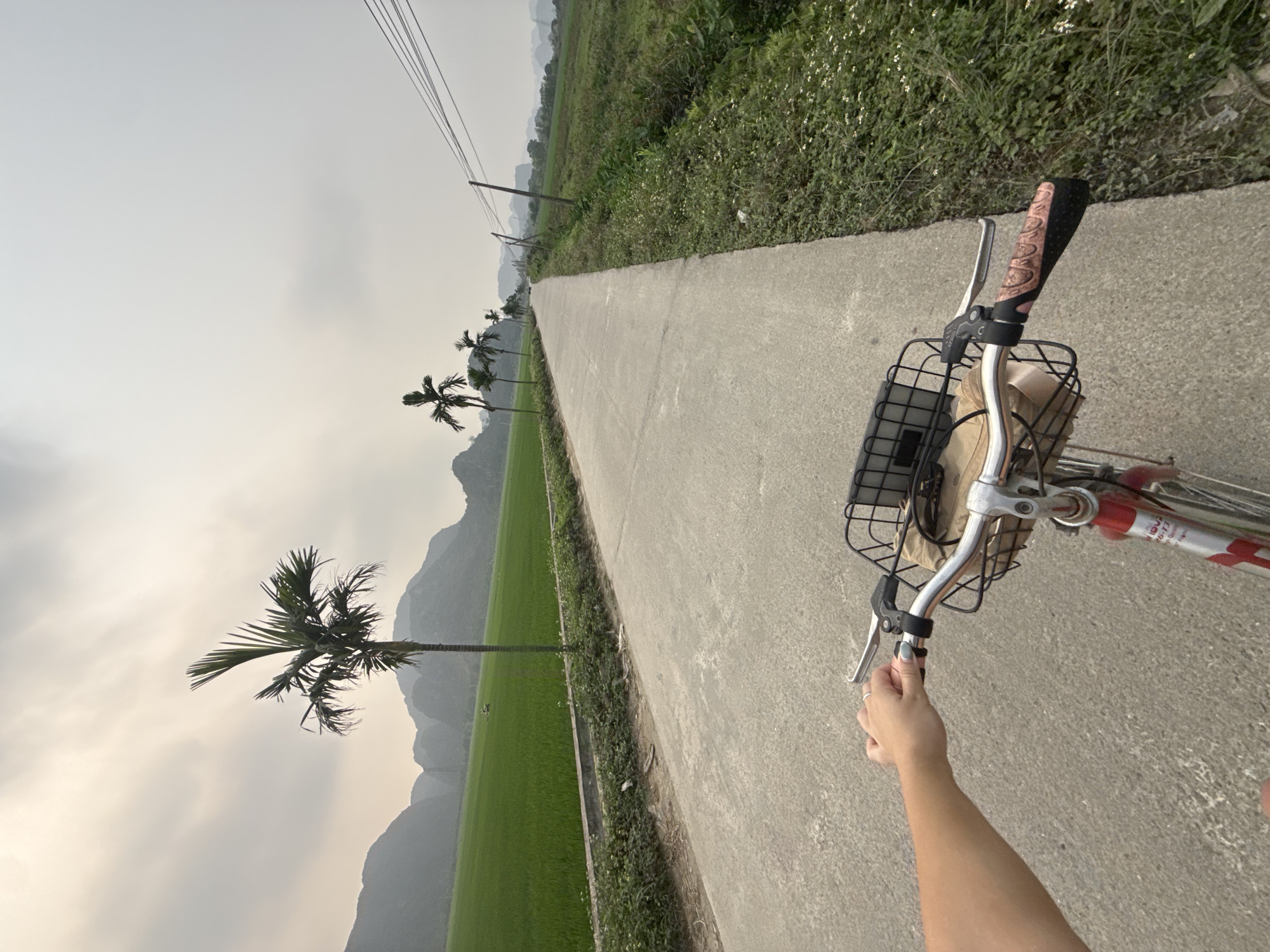 Cyclist rides through rural Vietnamese countryside with rice fields