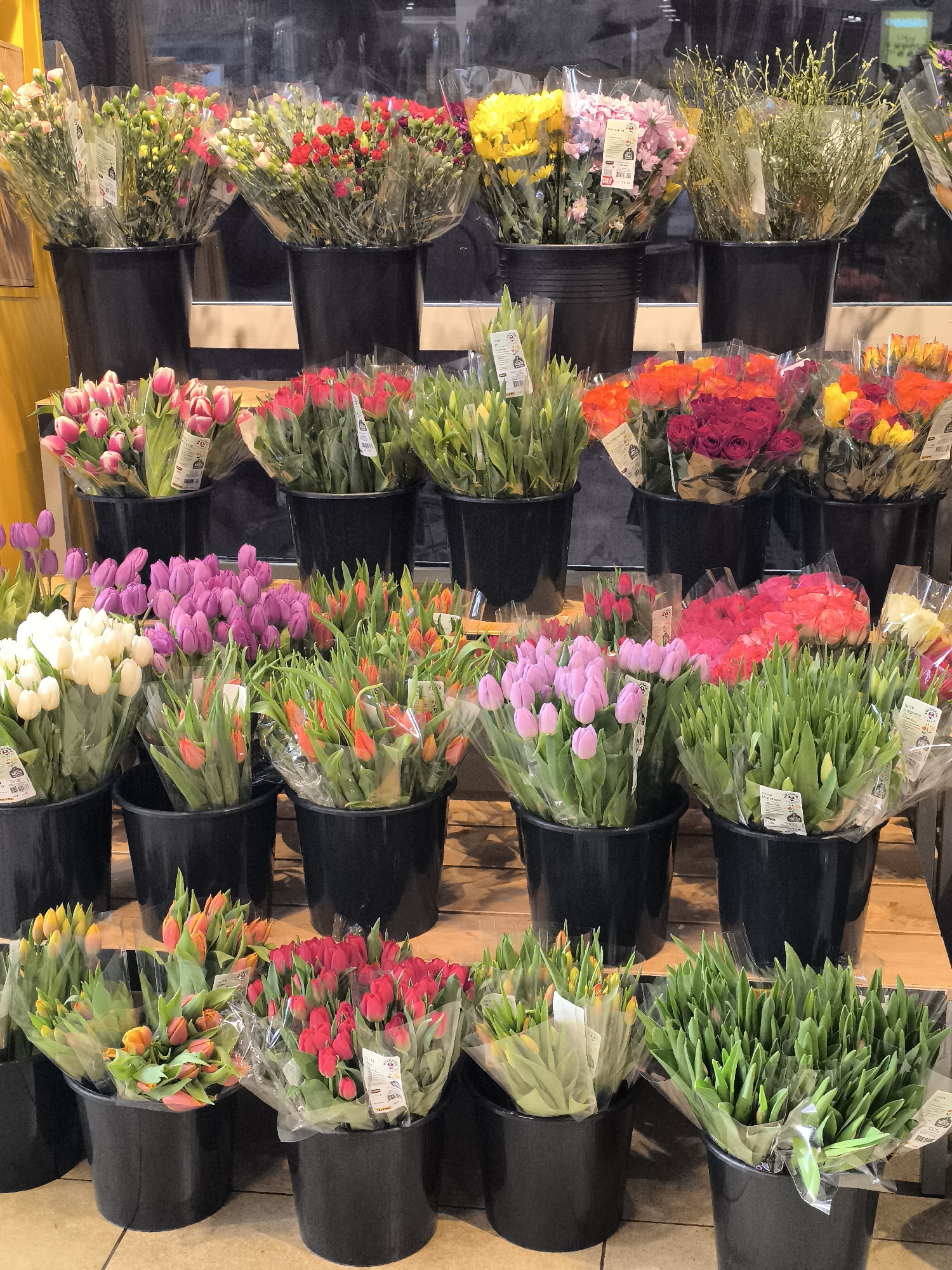 Spring afternoon scenes captured in Alkmaar: flowers and cycling
