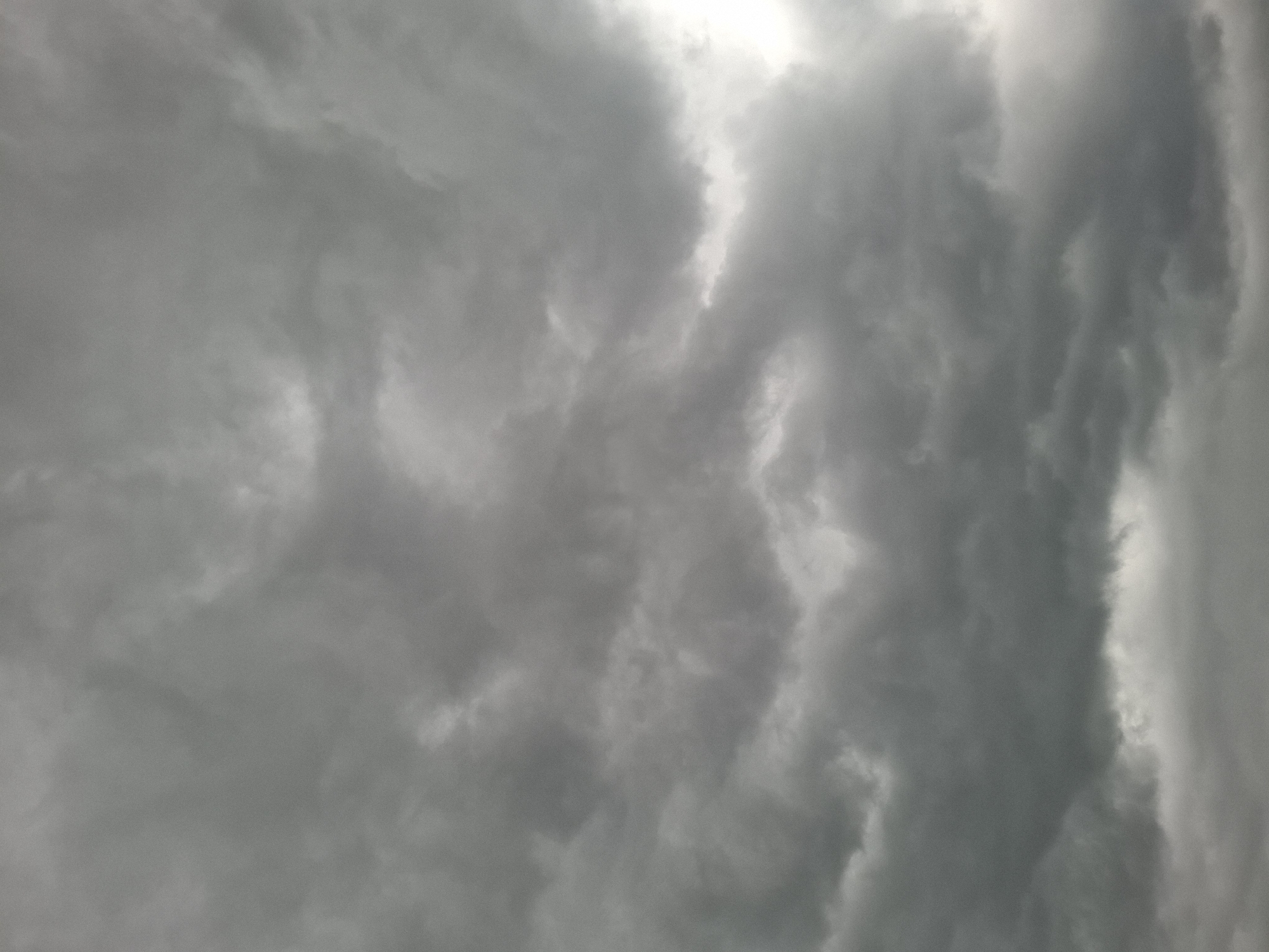 Storm clouds gather over rural Khlevnoye as cat roams field