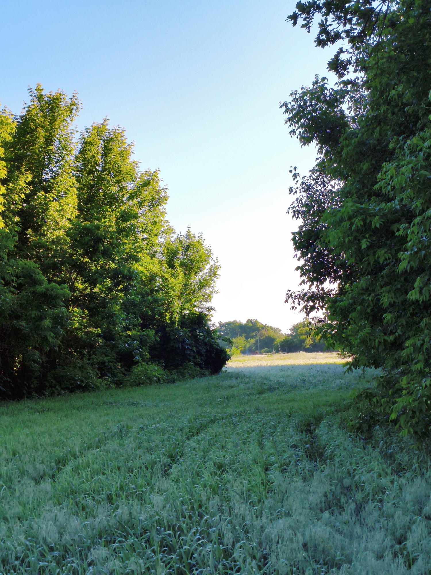 Rural Ukrainian village life documented in peaceful morning scenes