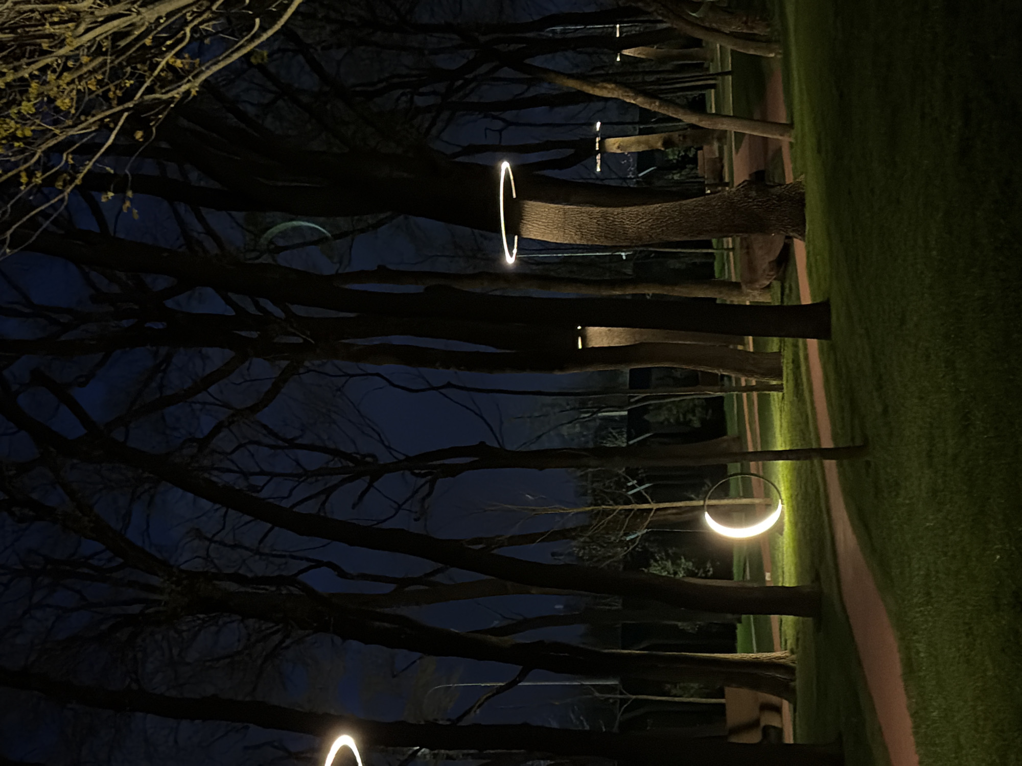 Evening park visit documented by young woman in Krasnodar