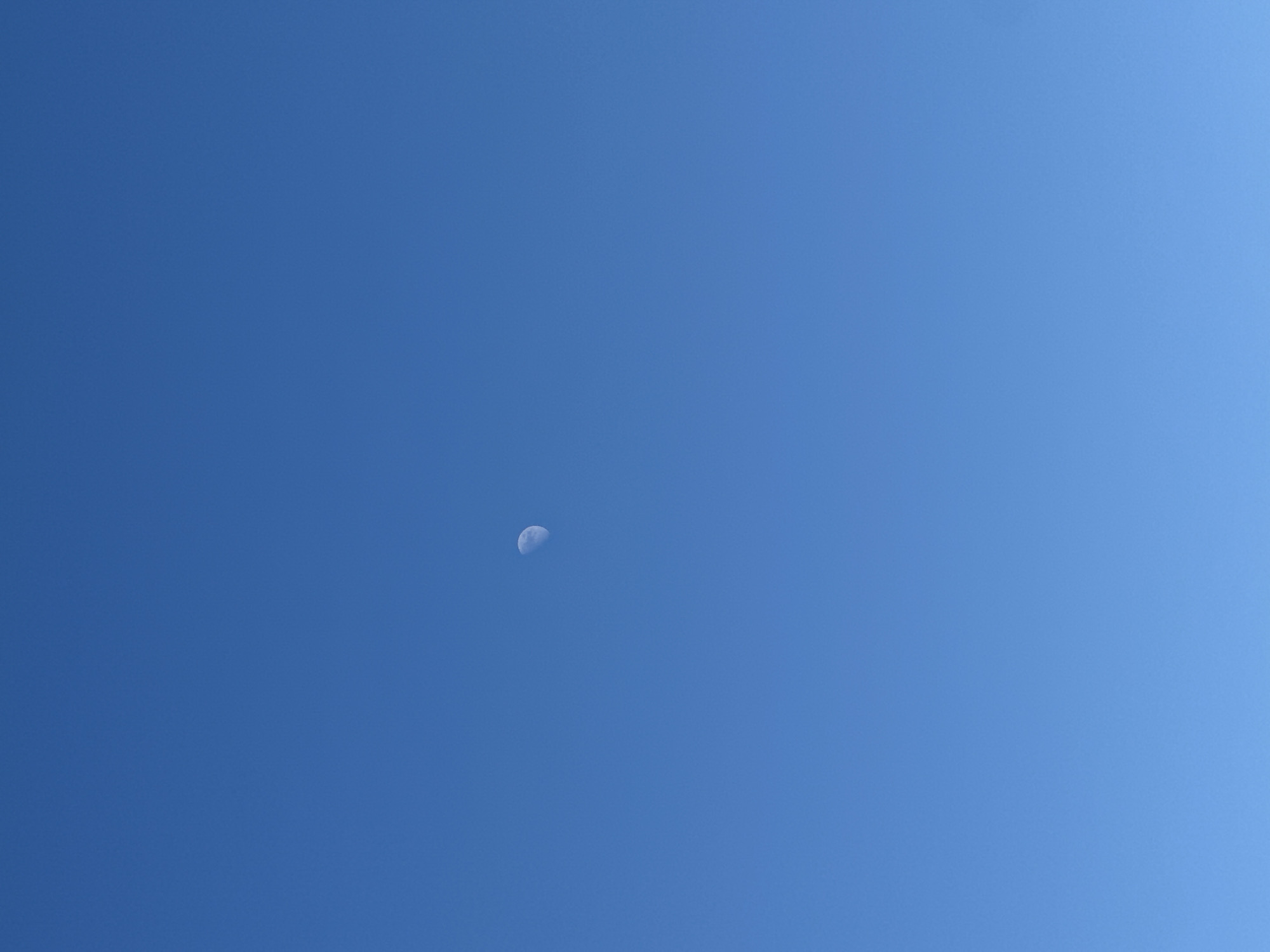 Midsummer day at a rural Tobyl homestead, moon out and garden growing