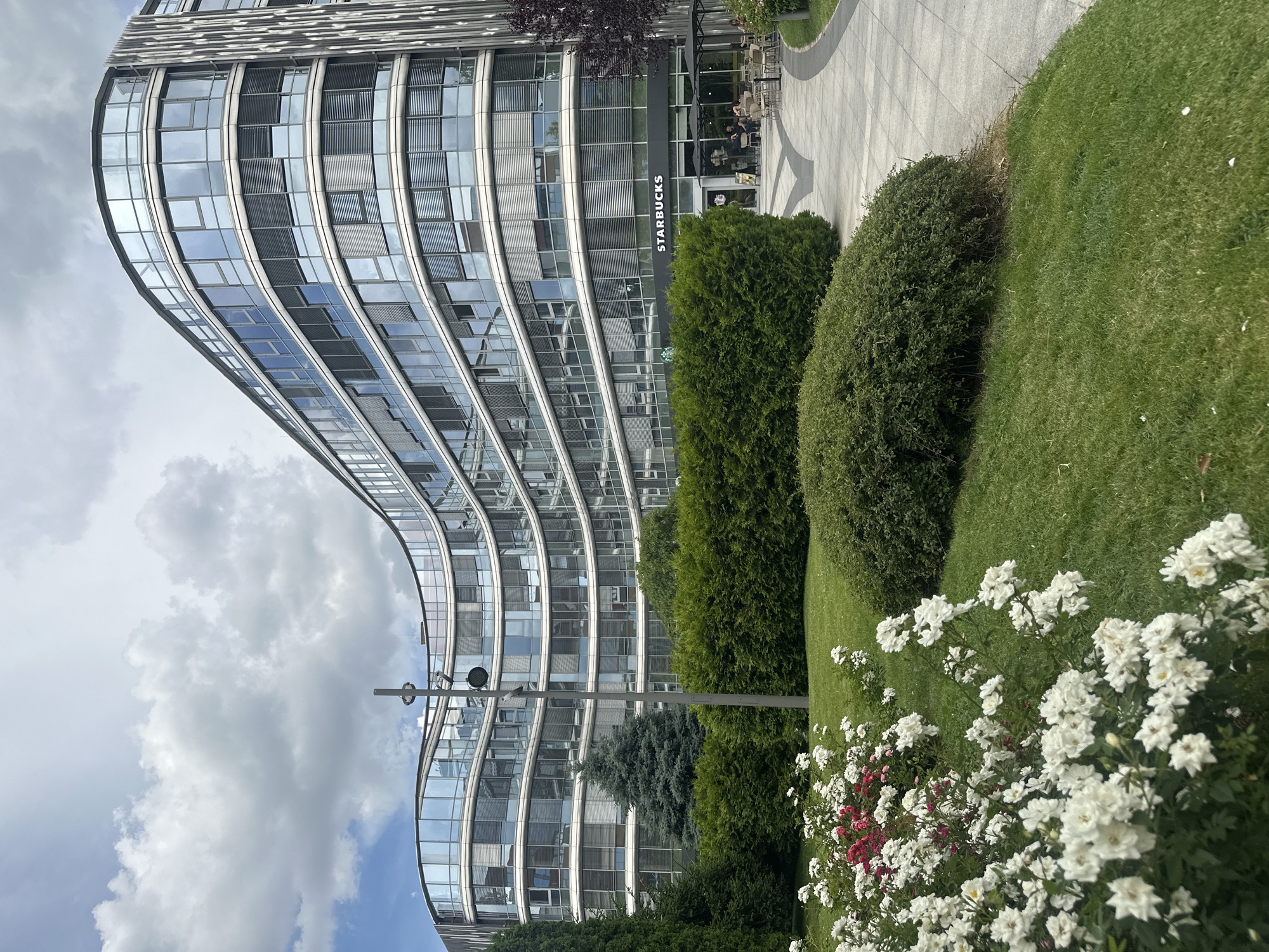 Sofia office district blooms with roses on a cloudy afternoon