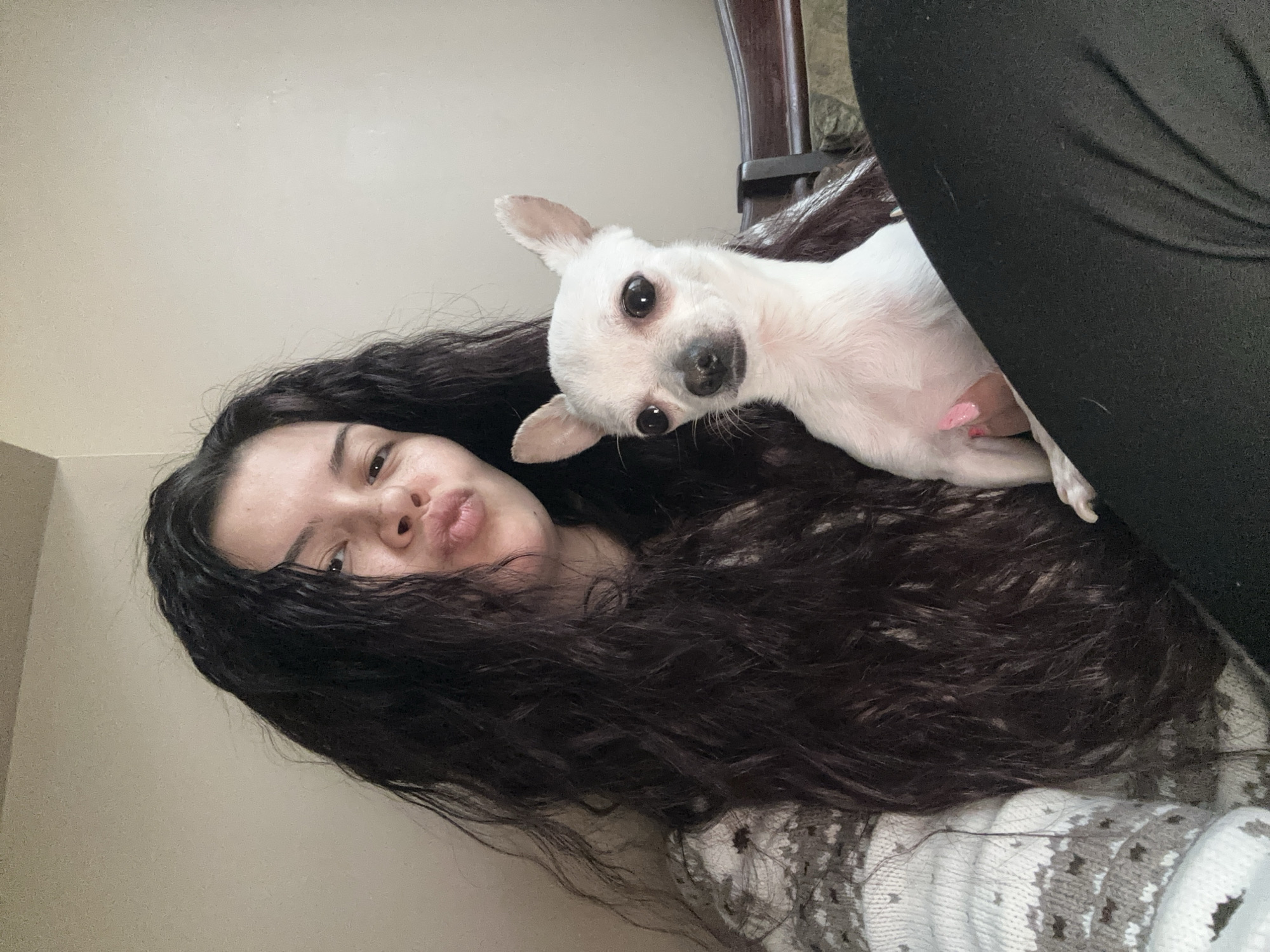 Woman takes selfies with Chihuahua and cat at home