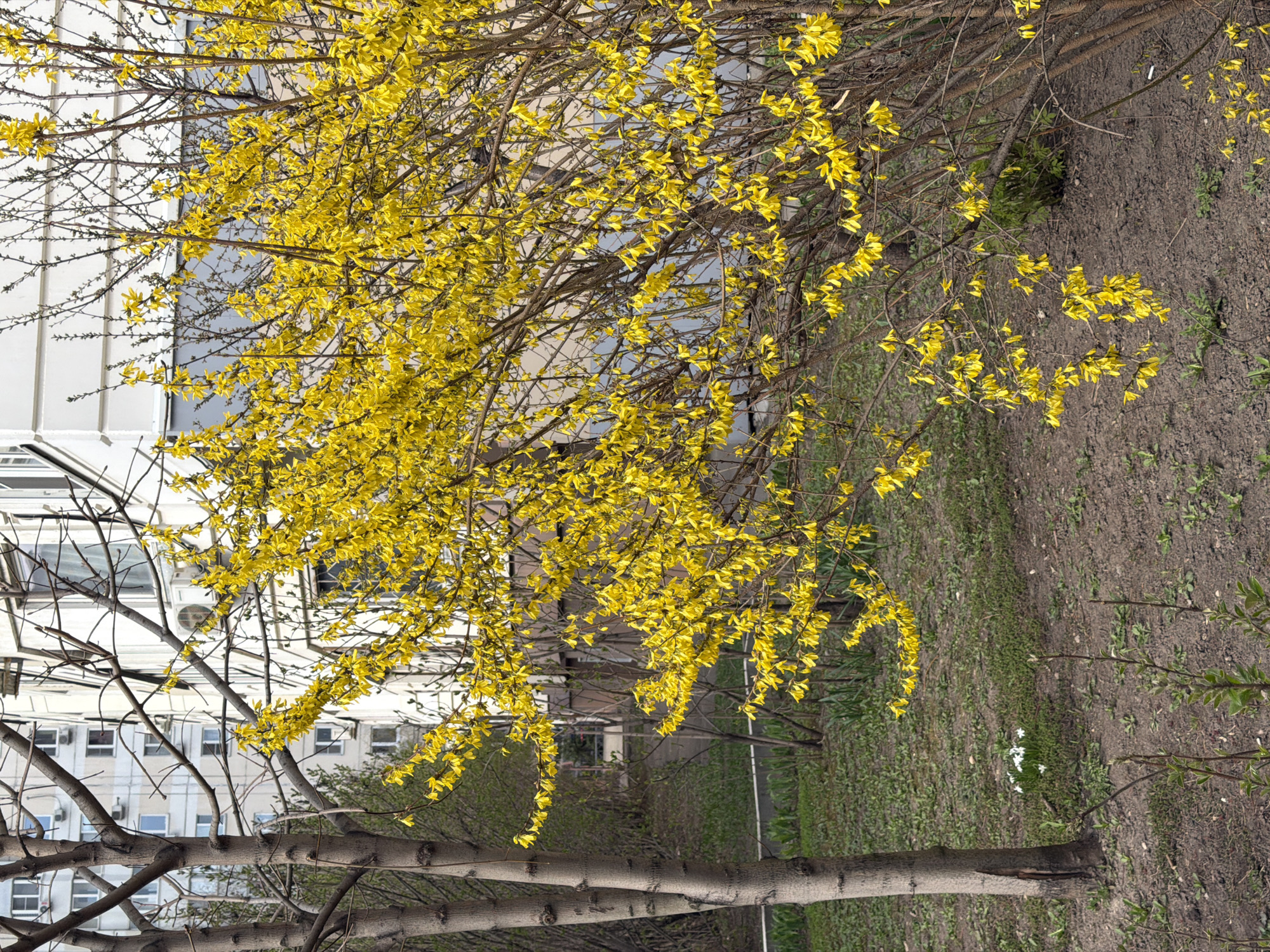 Routine daily scenes captured across Khimki residential and commercial areas