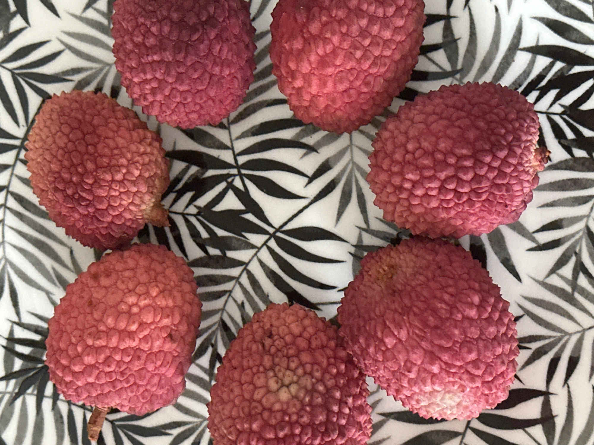 Lychee styling and snacking at home in Petah Tikva