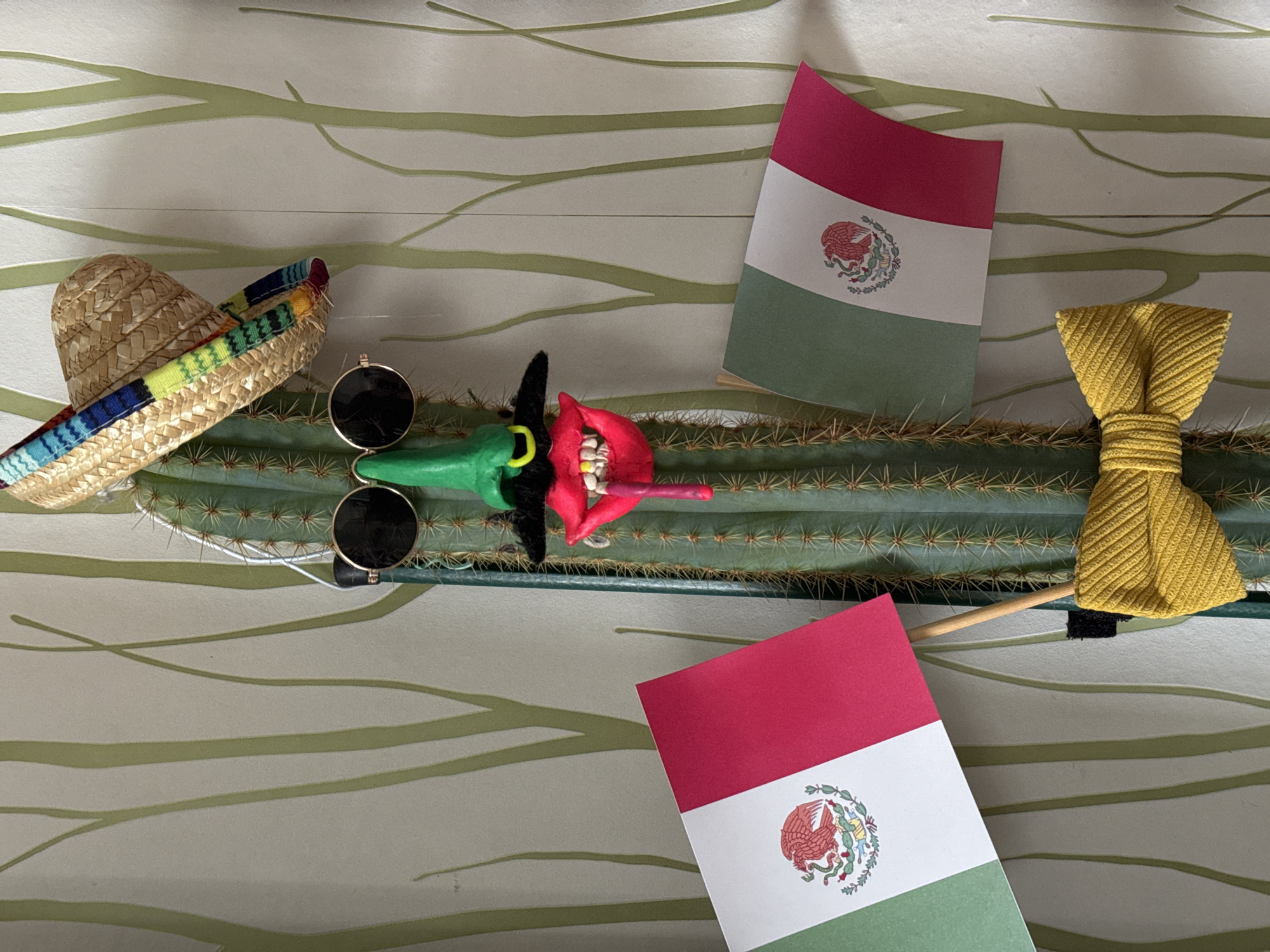 Costumed cactus display documented in Russian village