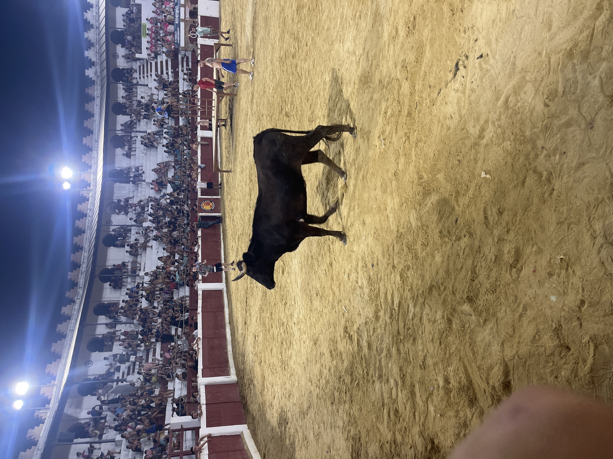 Evening bullfight draws a crowd at Ondara's illuminated arena