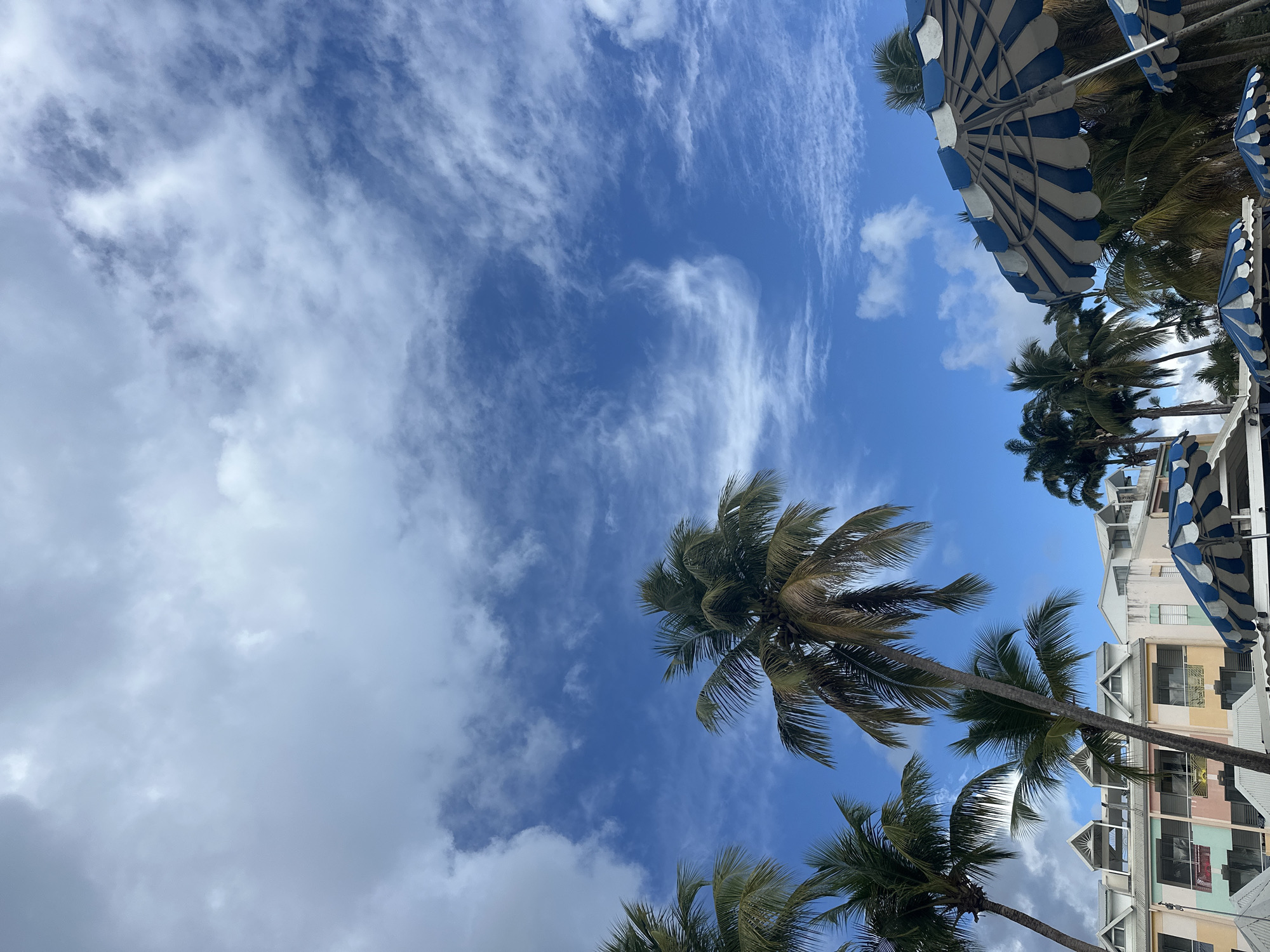 Tropical beach scenes documented in Le Gosier, France
