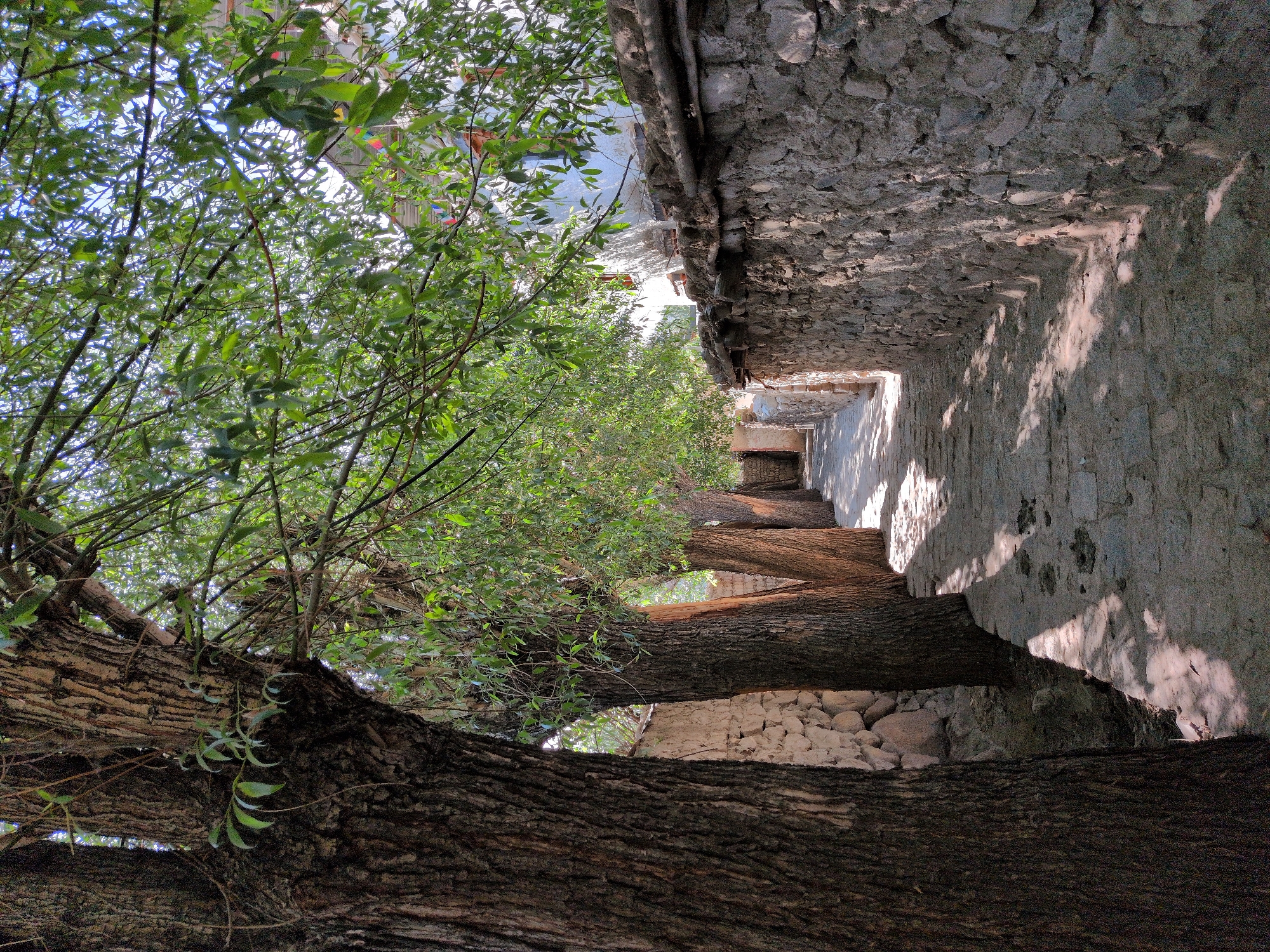 Gardens, alleyways, and daily life in Leh, Ladakh