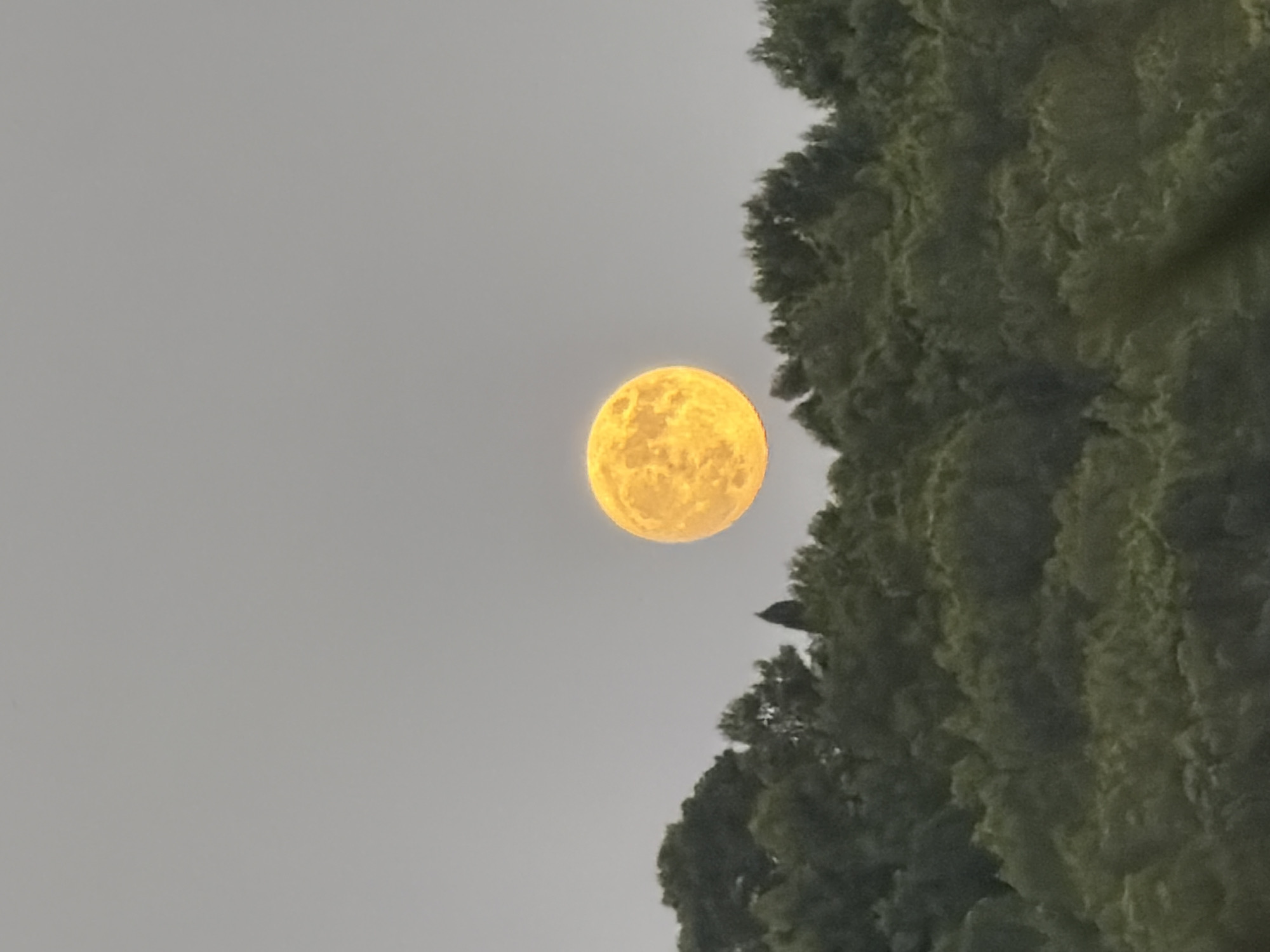Full moon rising over Andratx at golden hour