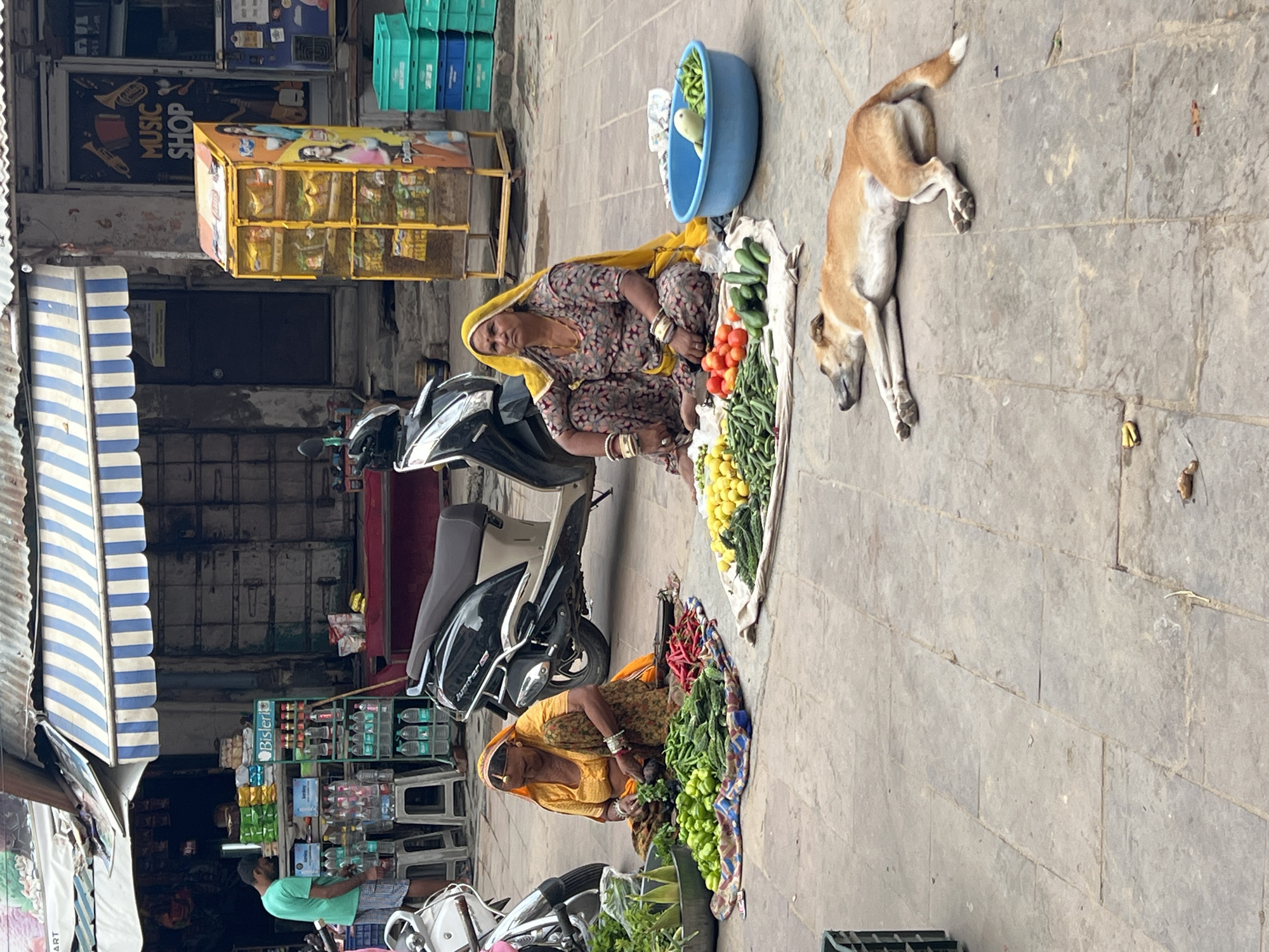 Vendors sorting fresh produce at a Pushkar street market