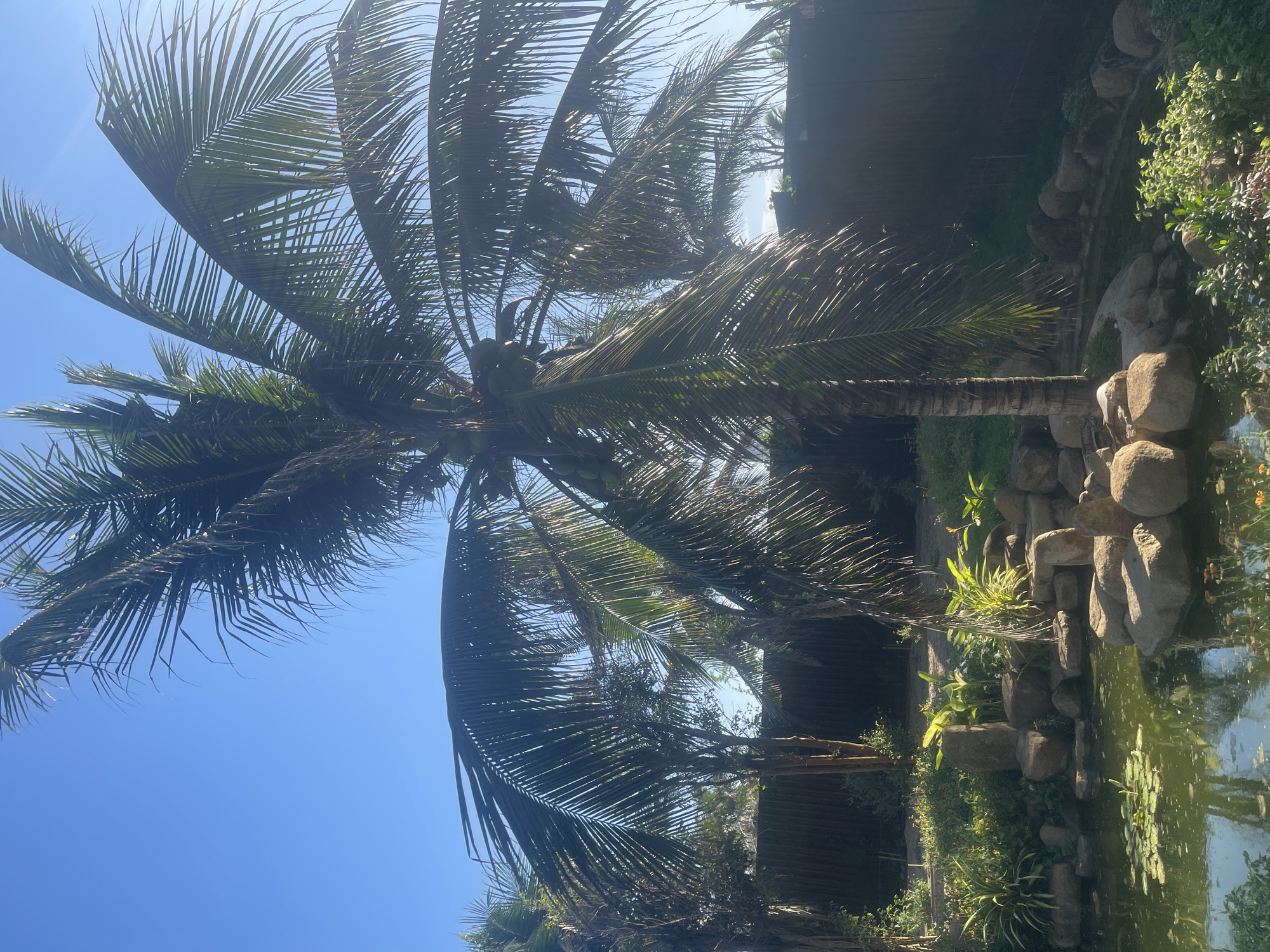 Morning at Ocean Dunes resort gardens and outdoor dining areas