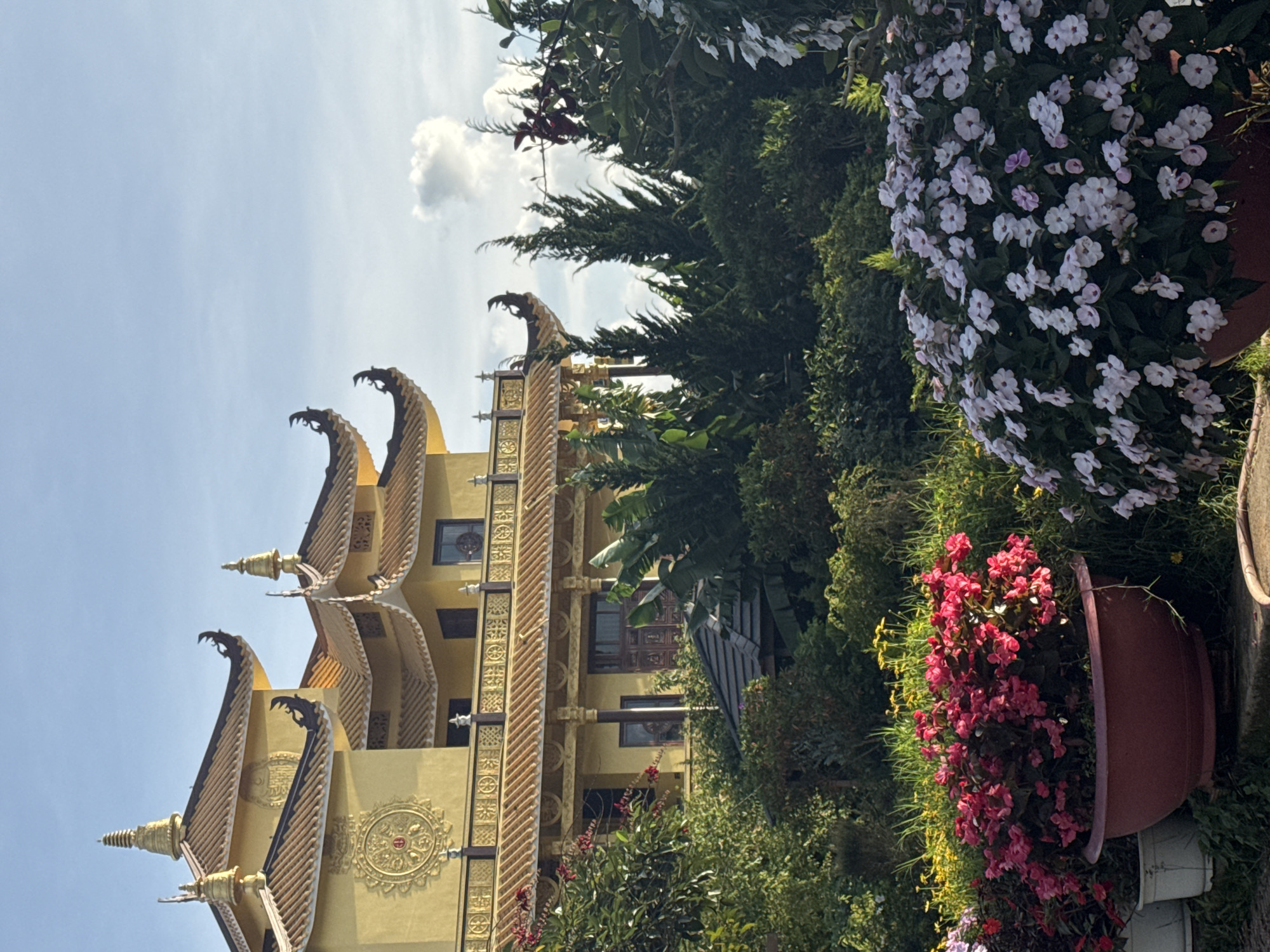 Morning tourism and leisure activities documented across Da Lat parks