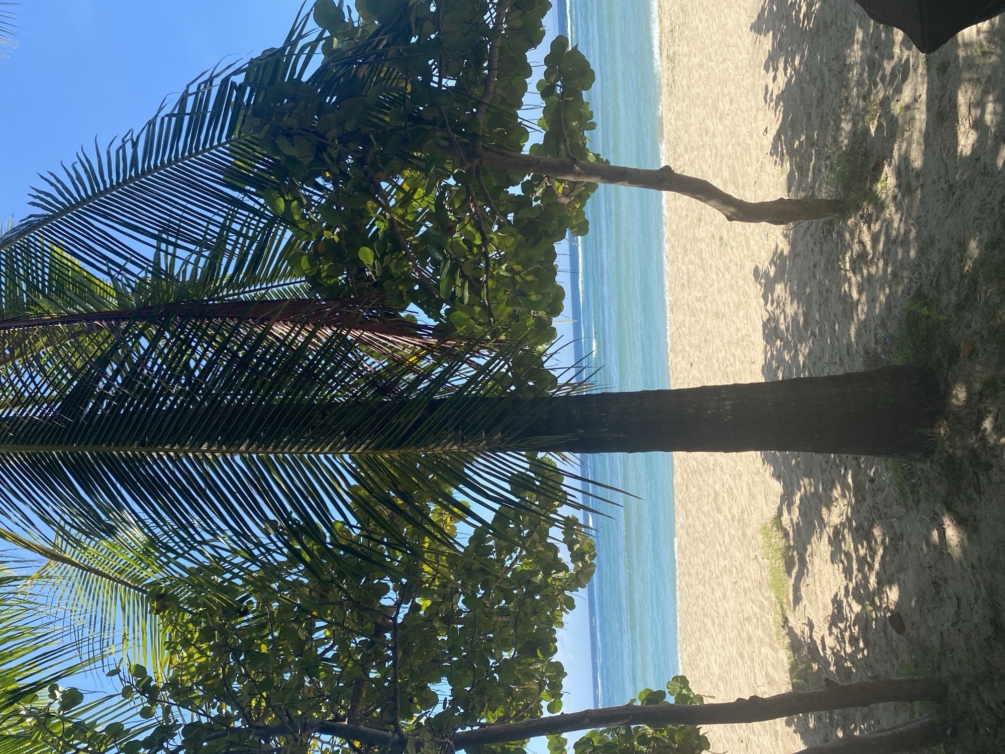 Morning beach walk documented in Kuta Selatan, Indonesia