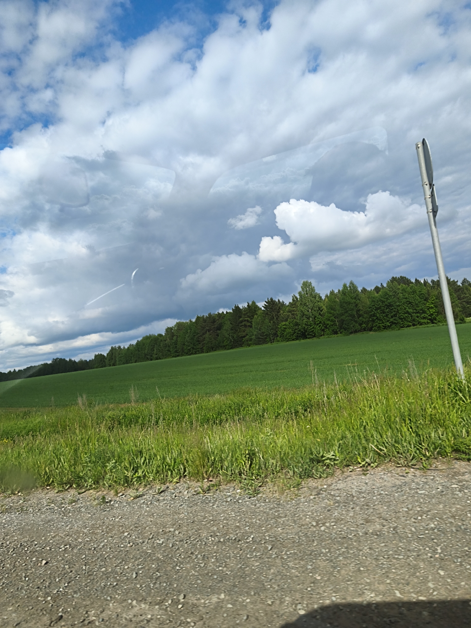 Rural landscape photographed from vehicle near Yakshur, Russia