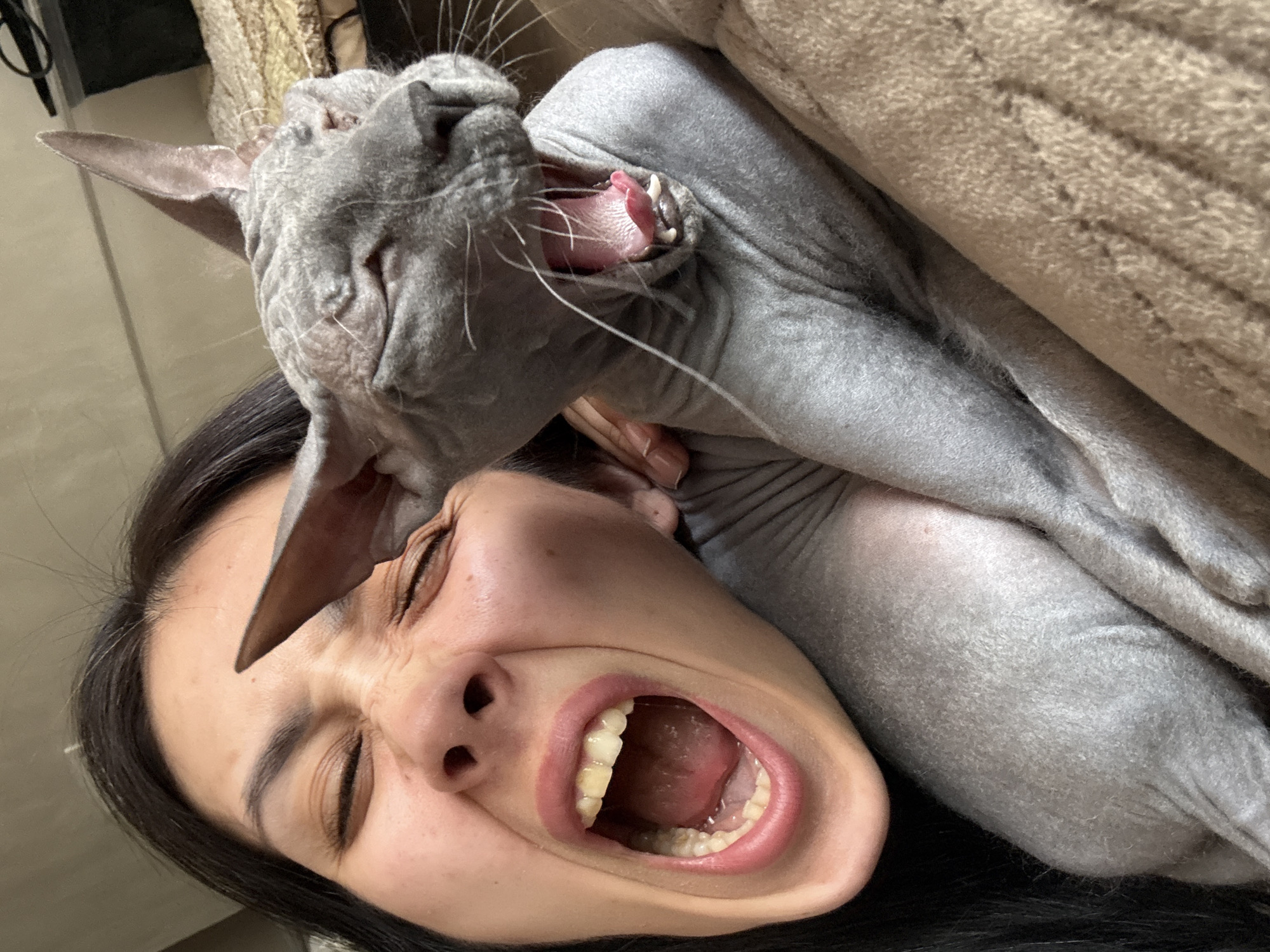 Woman and Sphynx cat share quiet morning moments in Votkinsk