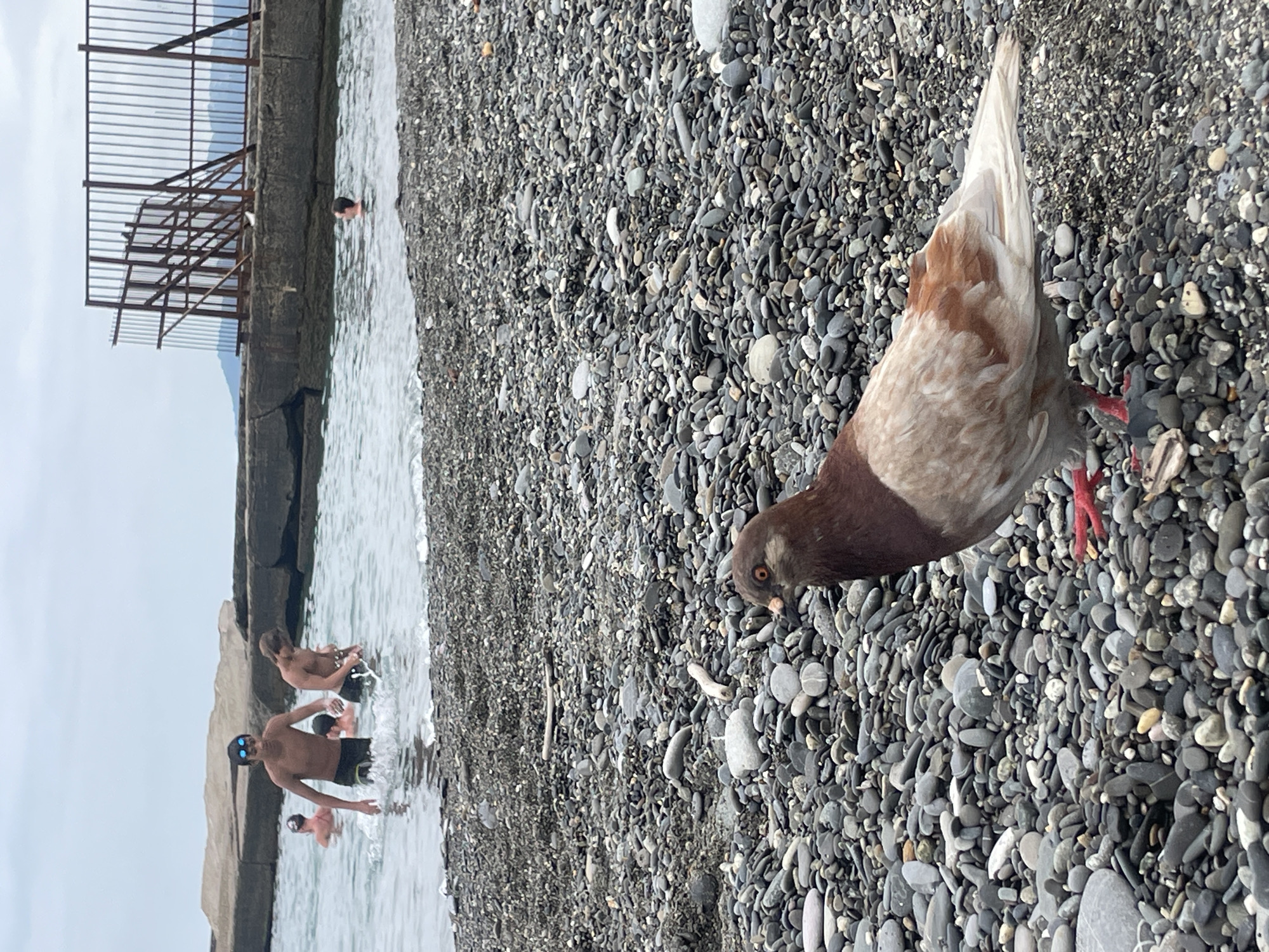 Overcast summer day on Sochi's Black Sea pebble beach