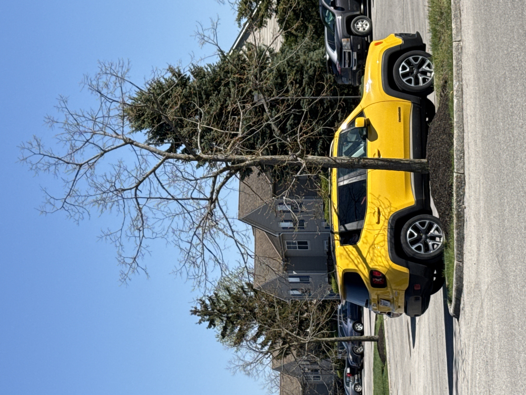 Yellow Jeep spotted parked on Columbus residential street
