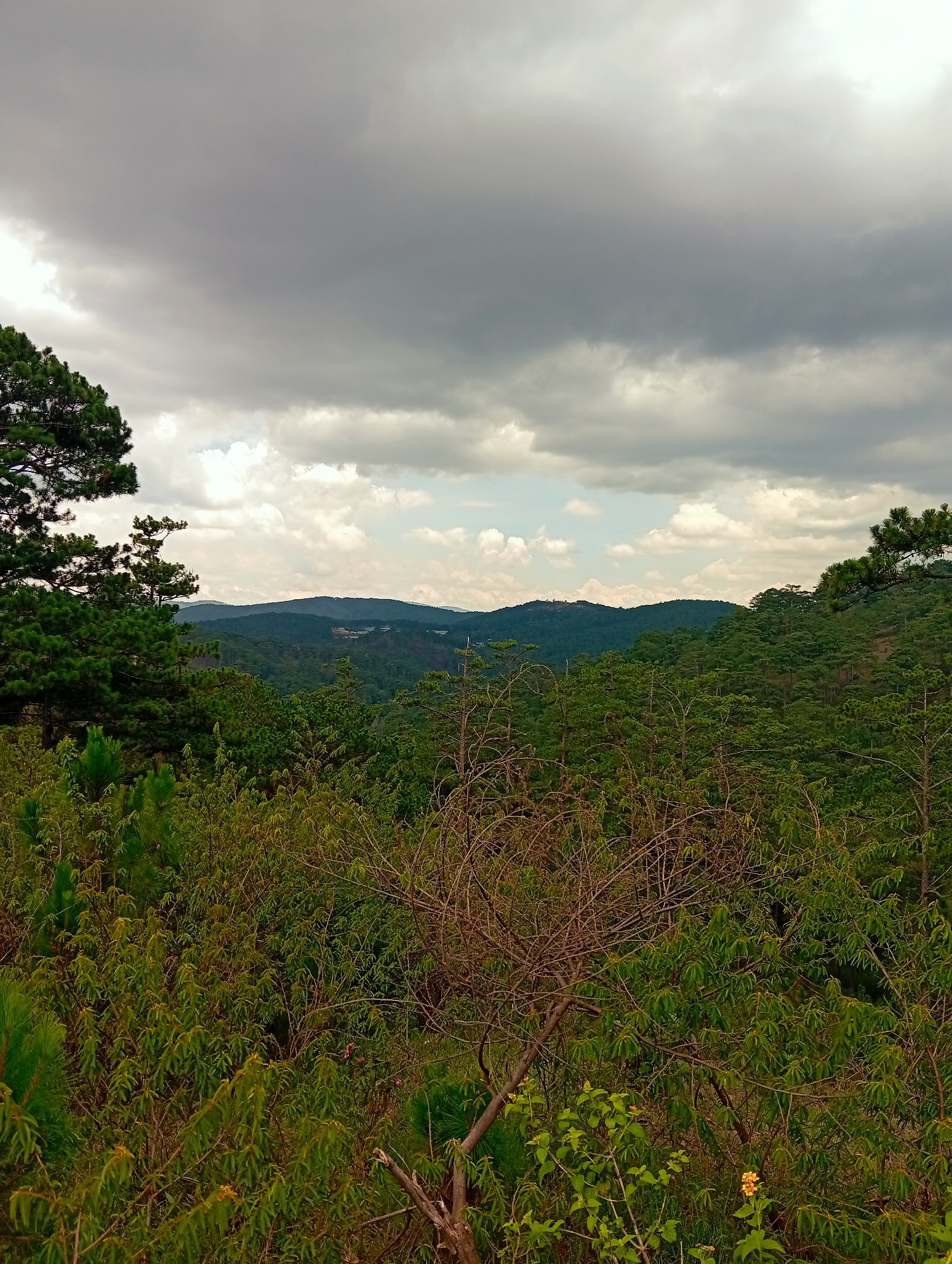 Overcast landscape with green hills photographed early morning
