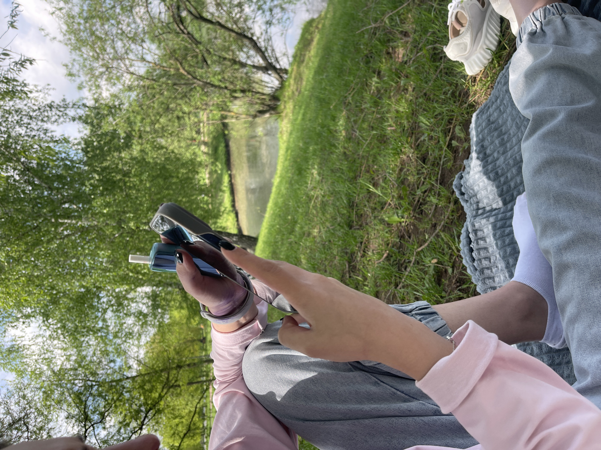 Moscow park scene: picnic, ornate bridge, pigeon by water