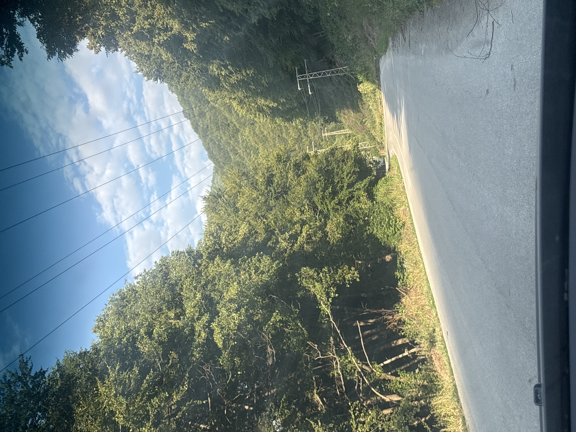 Winding through forested mountain roads on a summer afternoon