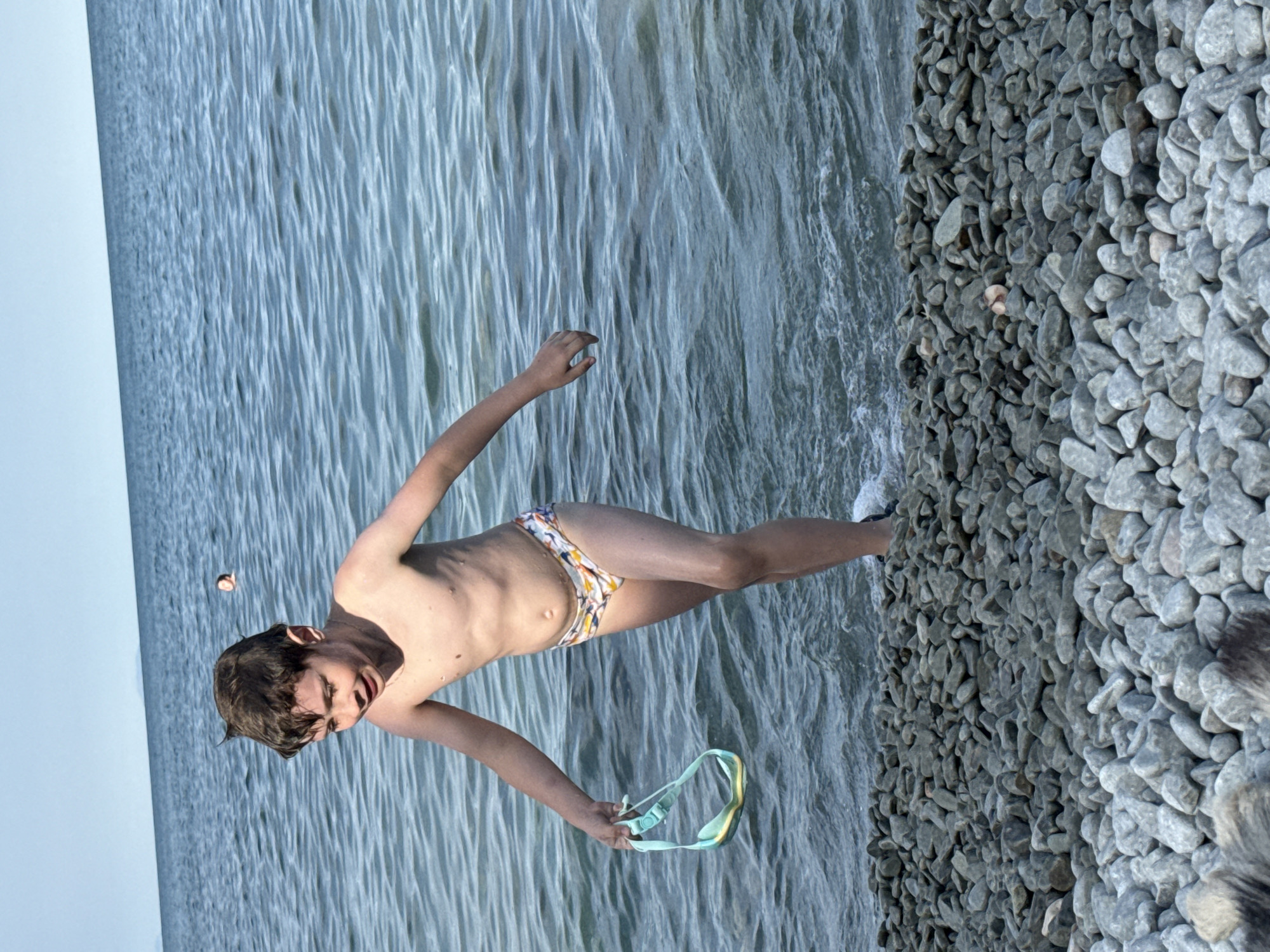 Summer afternoon at Partenit's Black Sea beach with dogs and swimmers