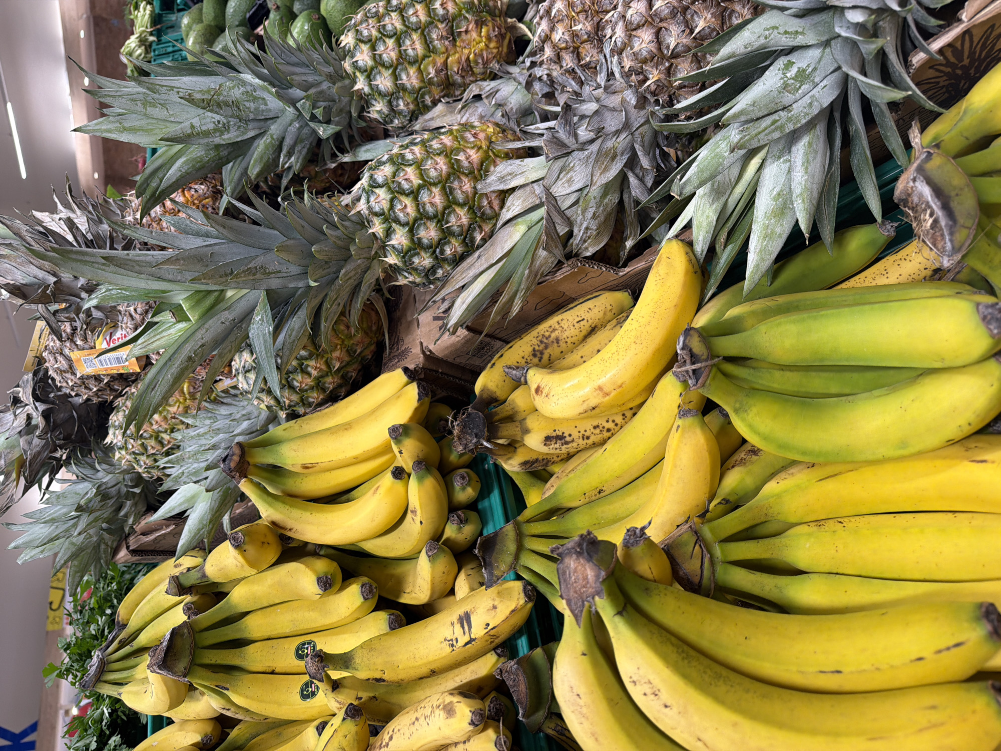 Browsing a retail store — produce, bakery, toys, and fashion