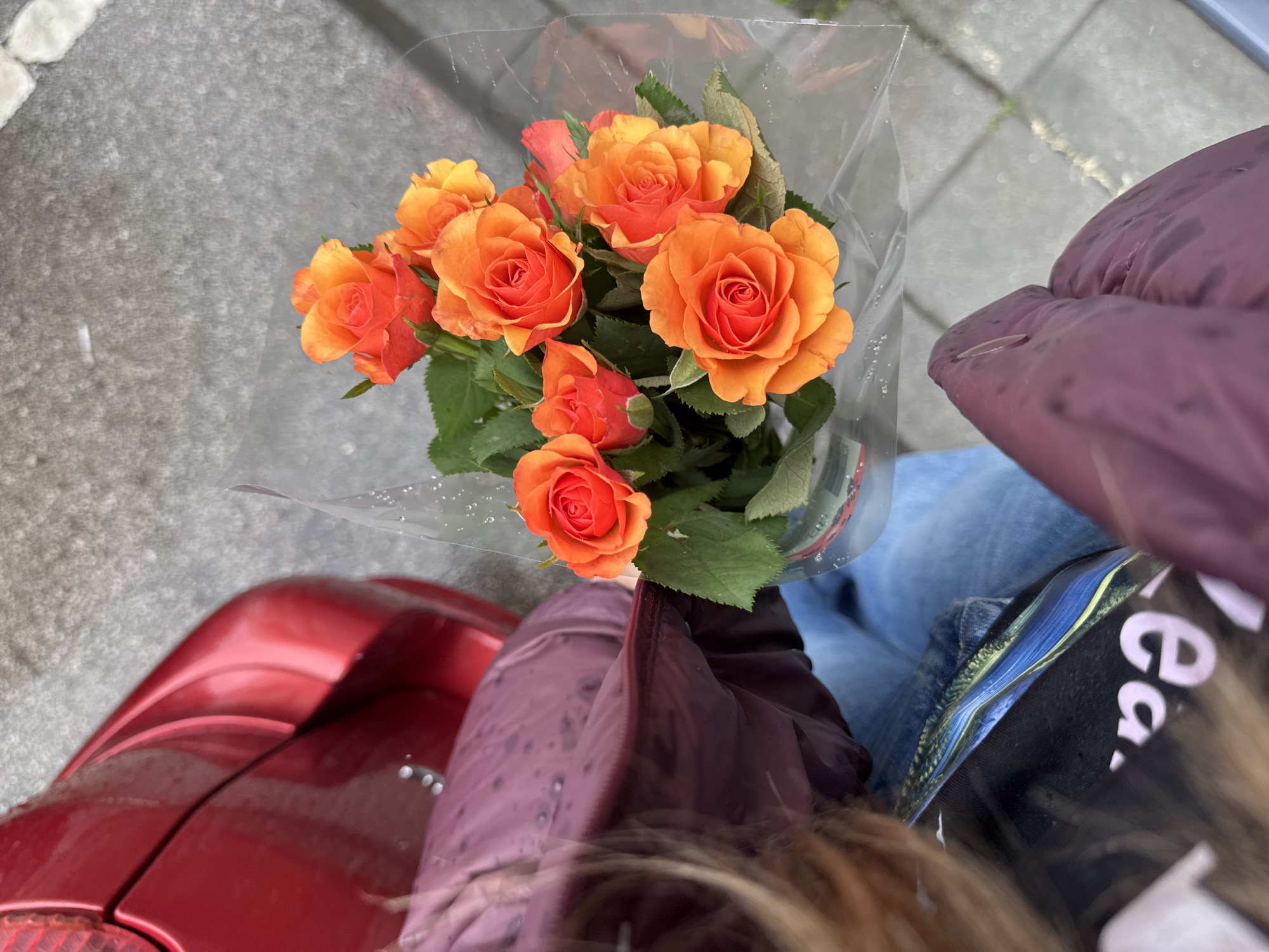 Morning scenes captured in Sofia: flowers and rain