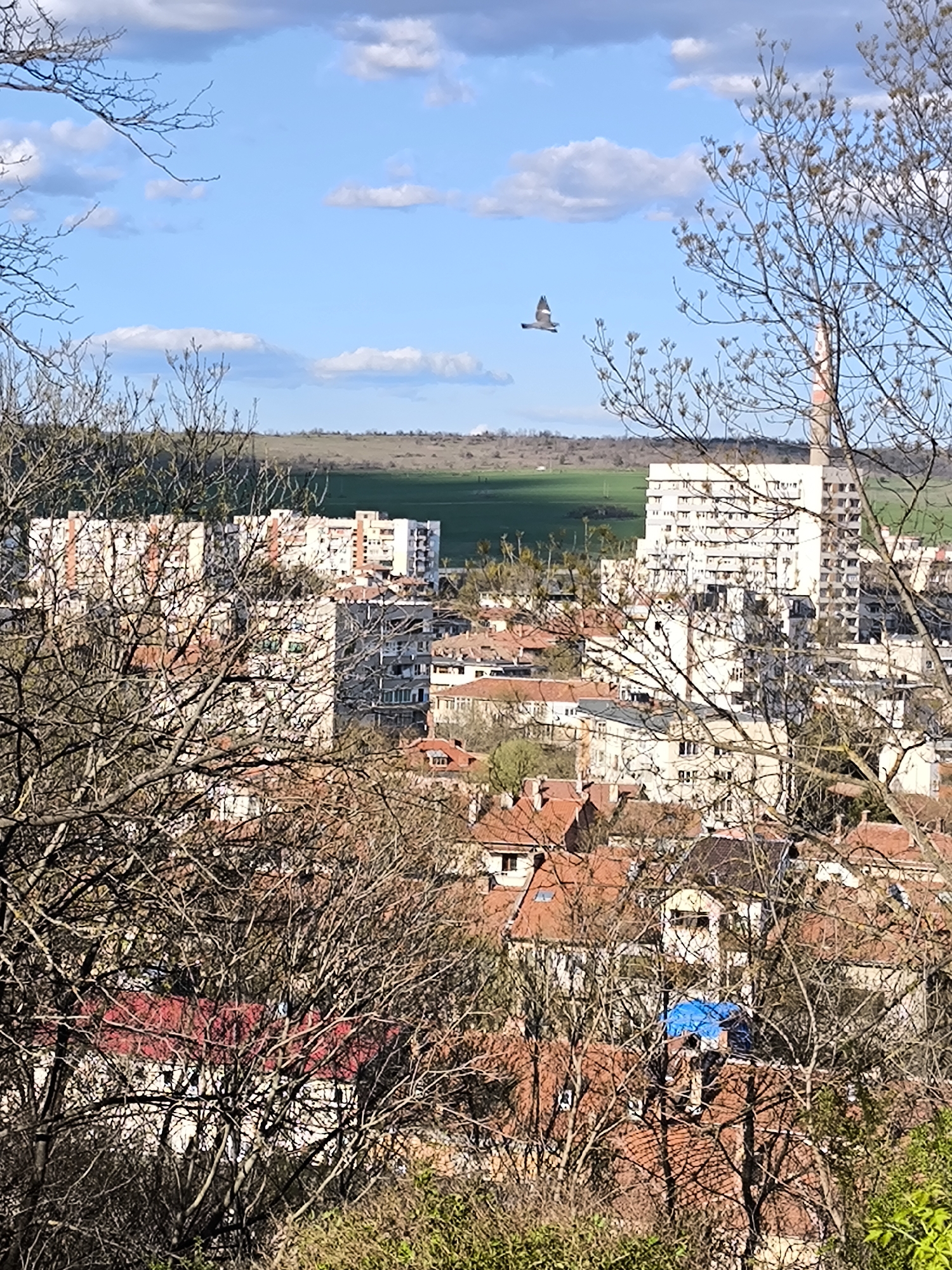 Elevated cityscape view captured in Pleven, Bulgaria