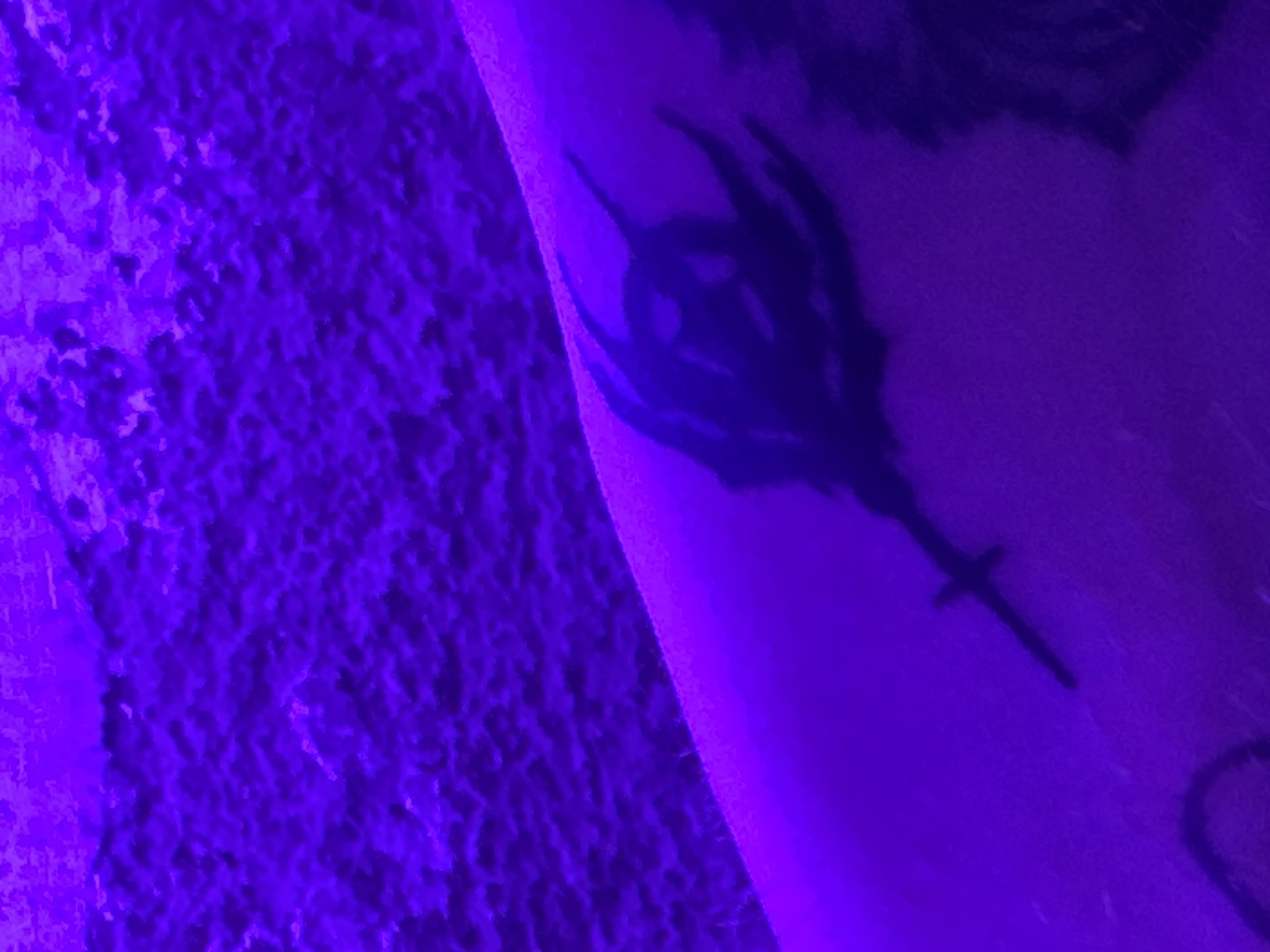 Barcelona resident shows off arm tattoos while smoking