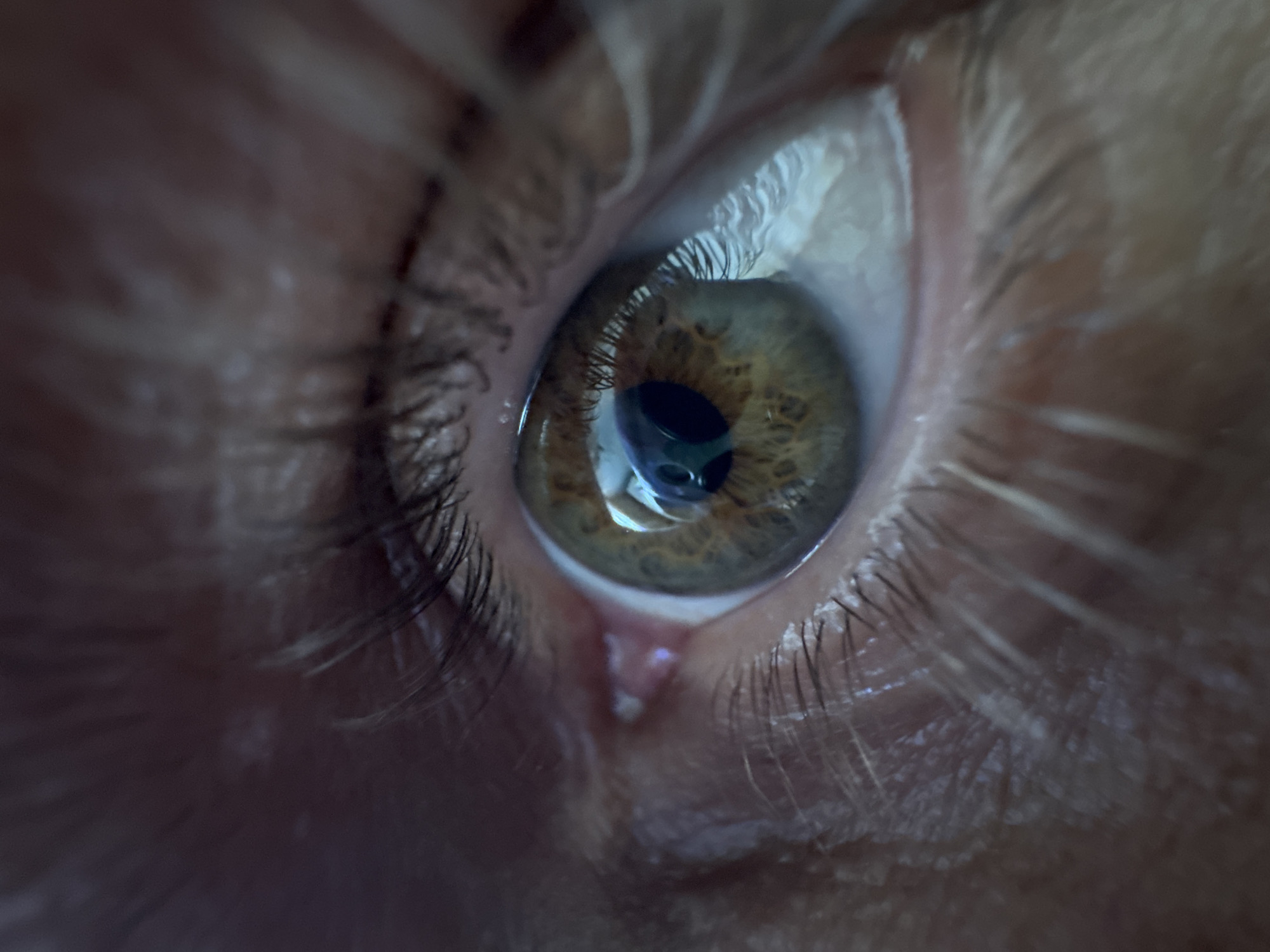 Close-up portrait photography session captured in Ketoshi, Russia