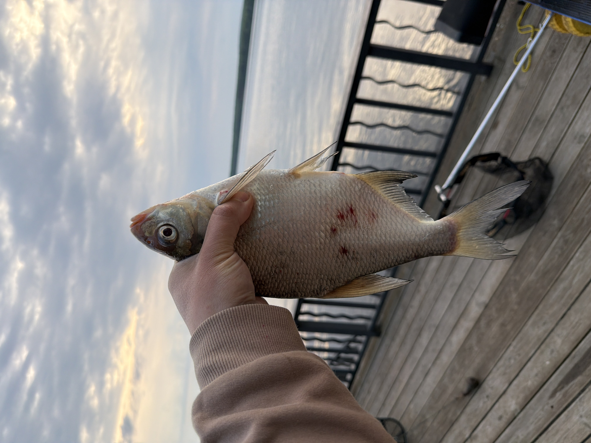 Early morning fishing session yields catches in Chaikovsky, Russia