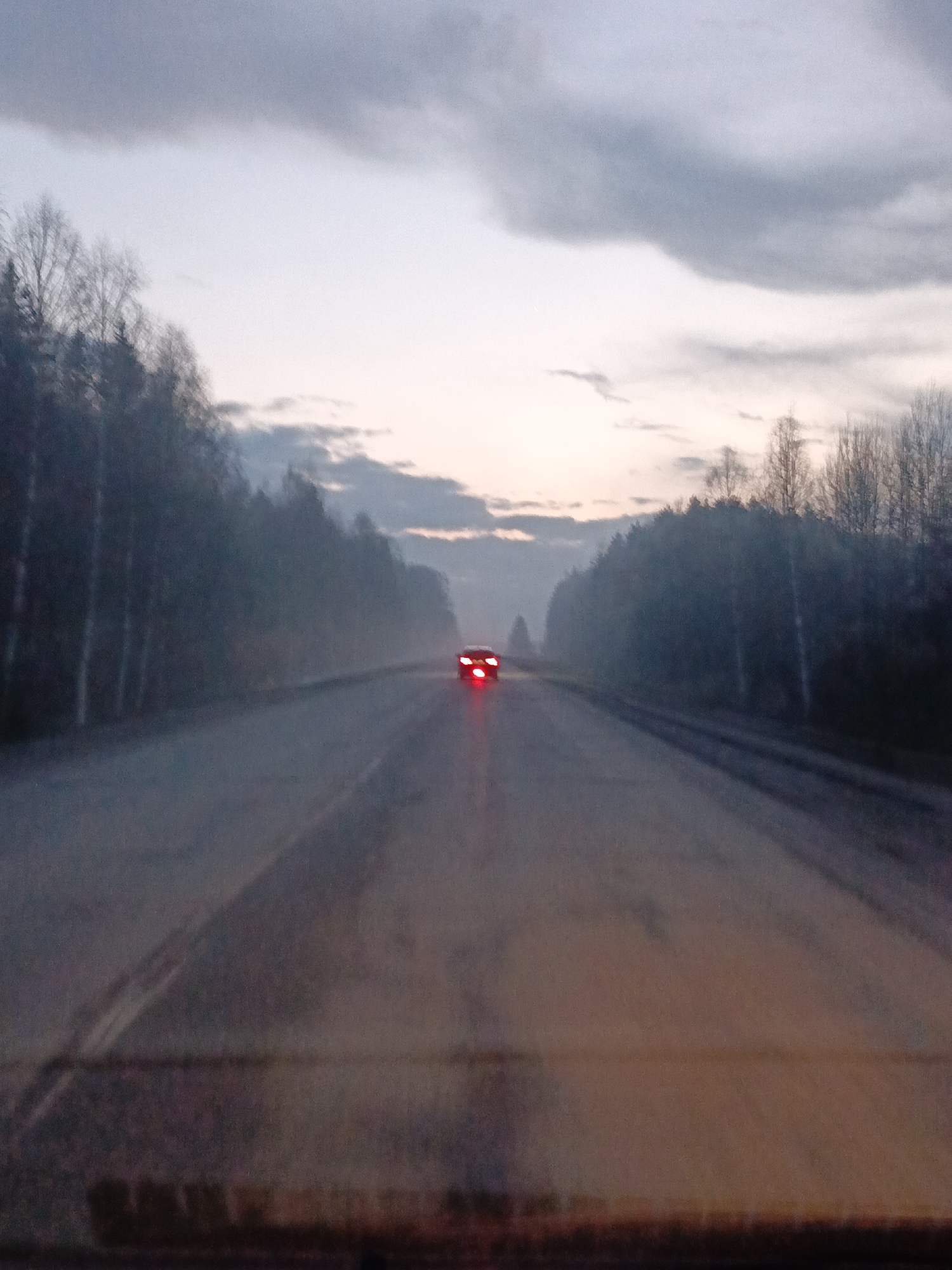 Vehicle traffic observed on tree-lined road in Garevaya, Russia