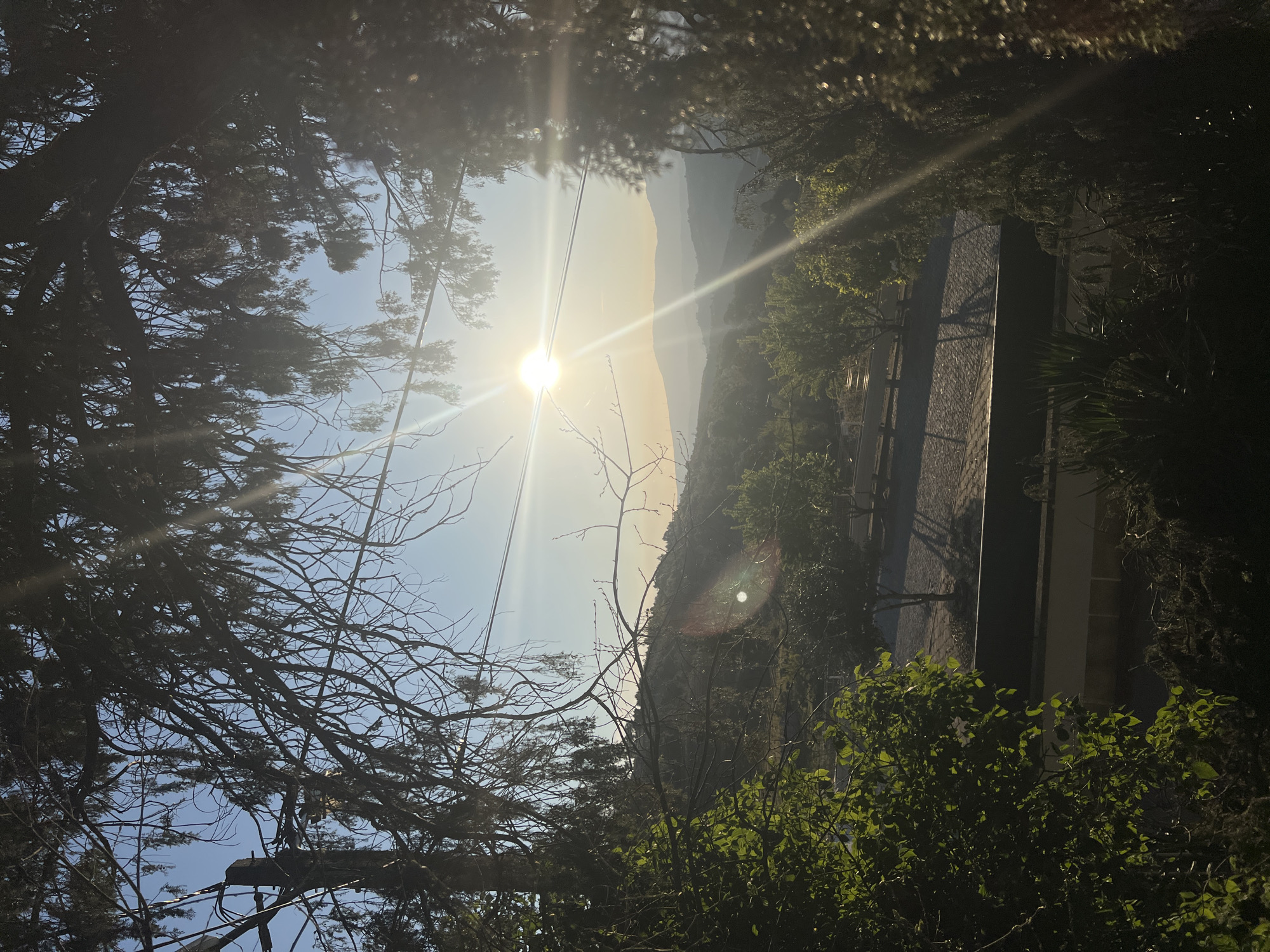 Spring afternoon scenes captured across Vila Real, Portugal vineyards