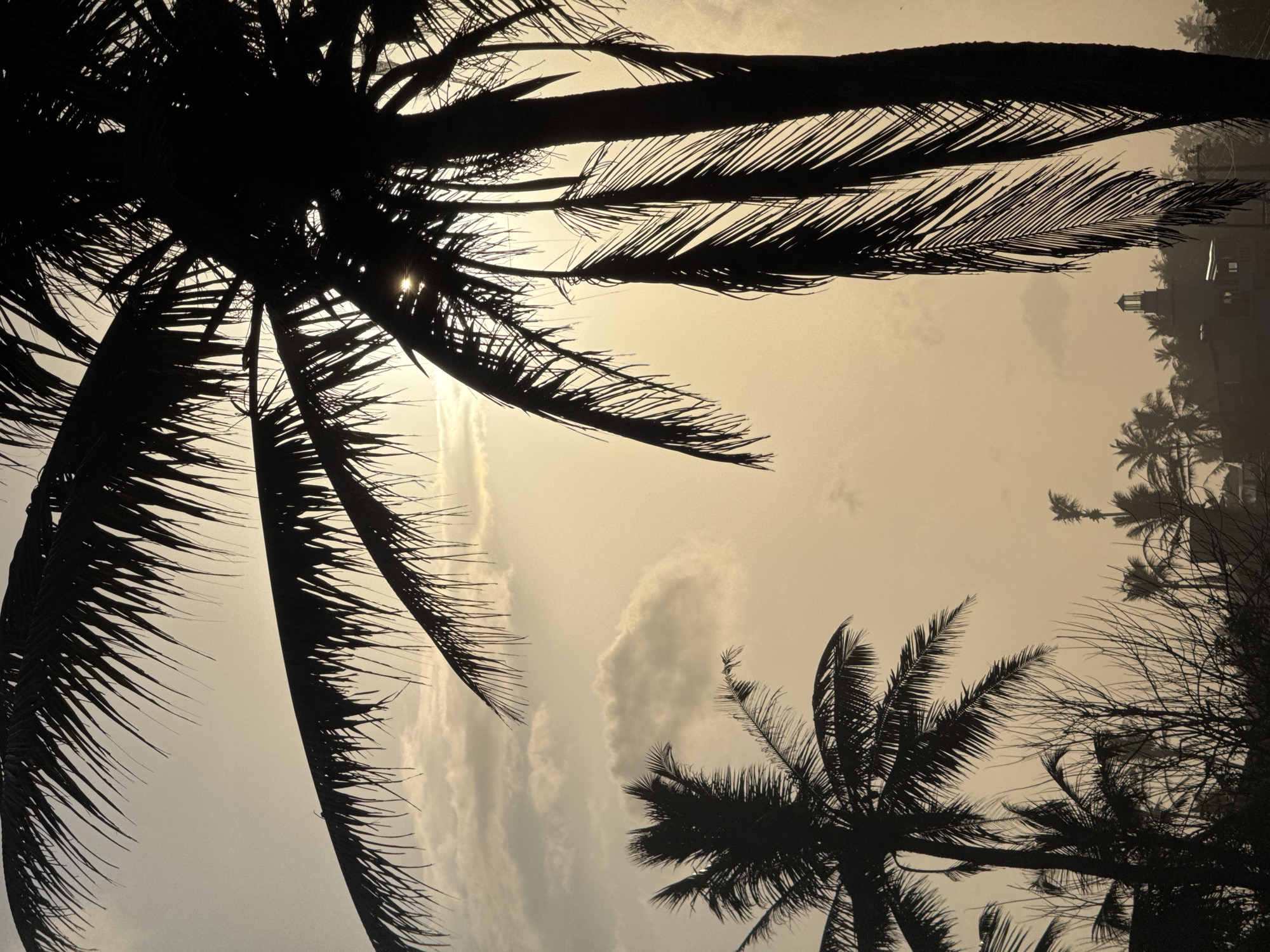 Volleyball under hazy palms in Goviyapana, Sri Lanka