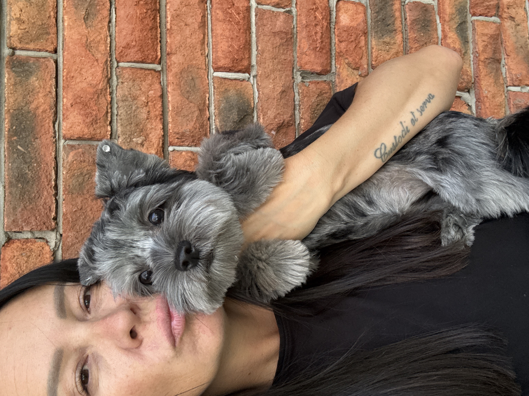 Afternoon with a fluffy grey dog in Chaikovsky